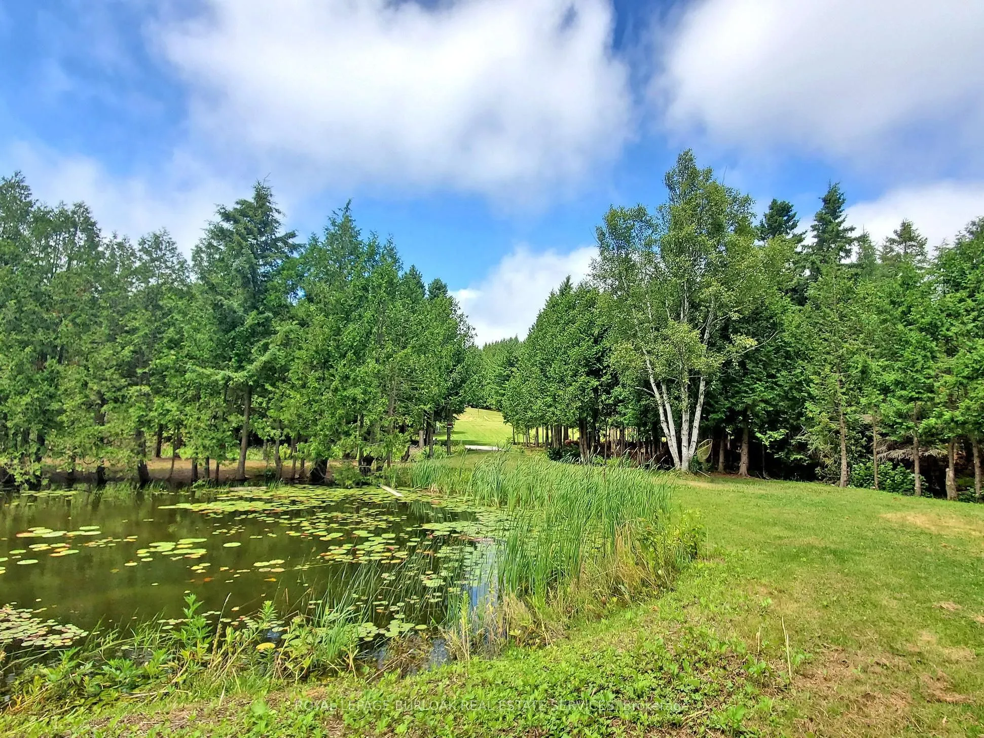 569 Highpoint Side Road