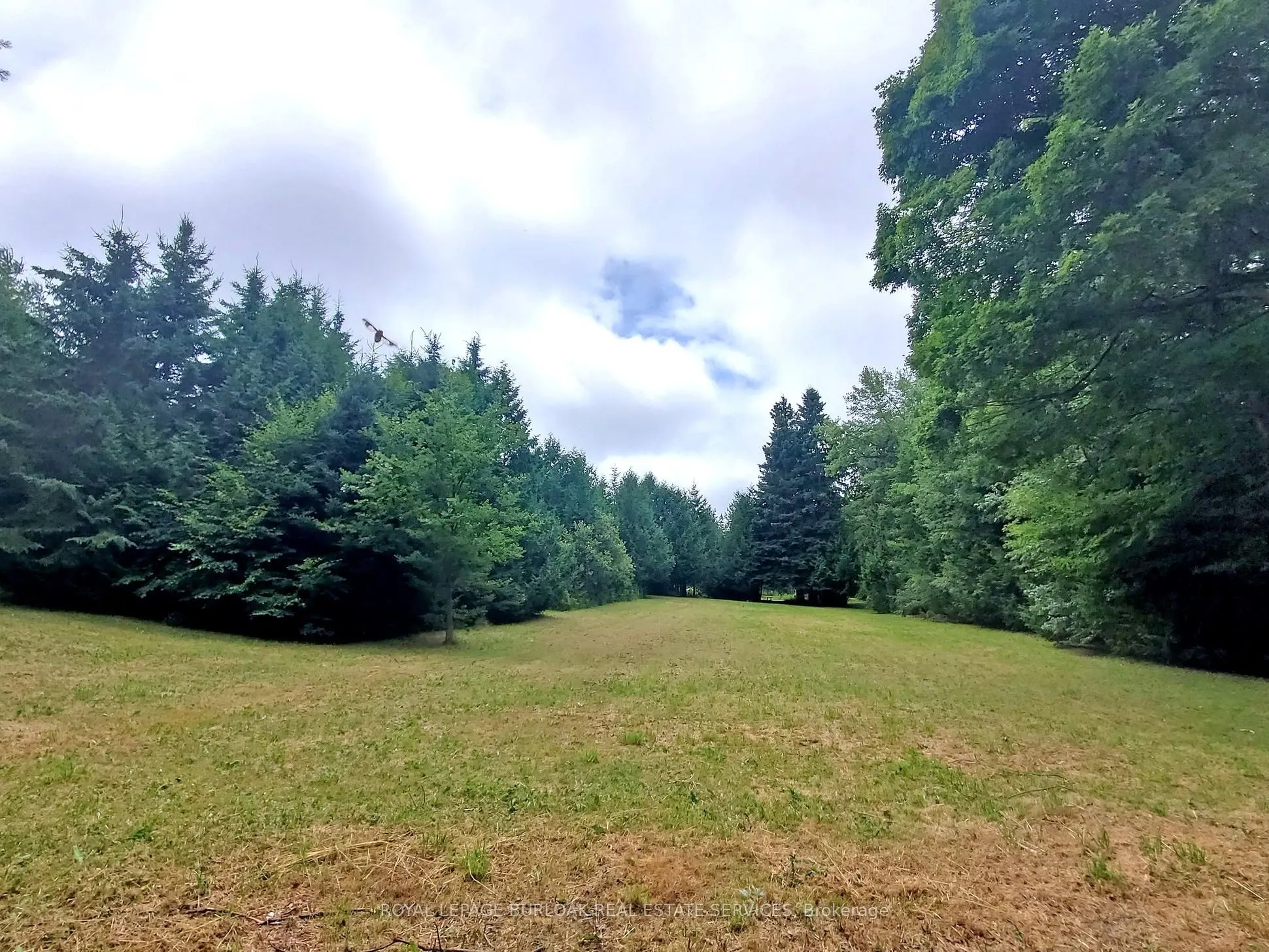 569 Highpoint Side Road