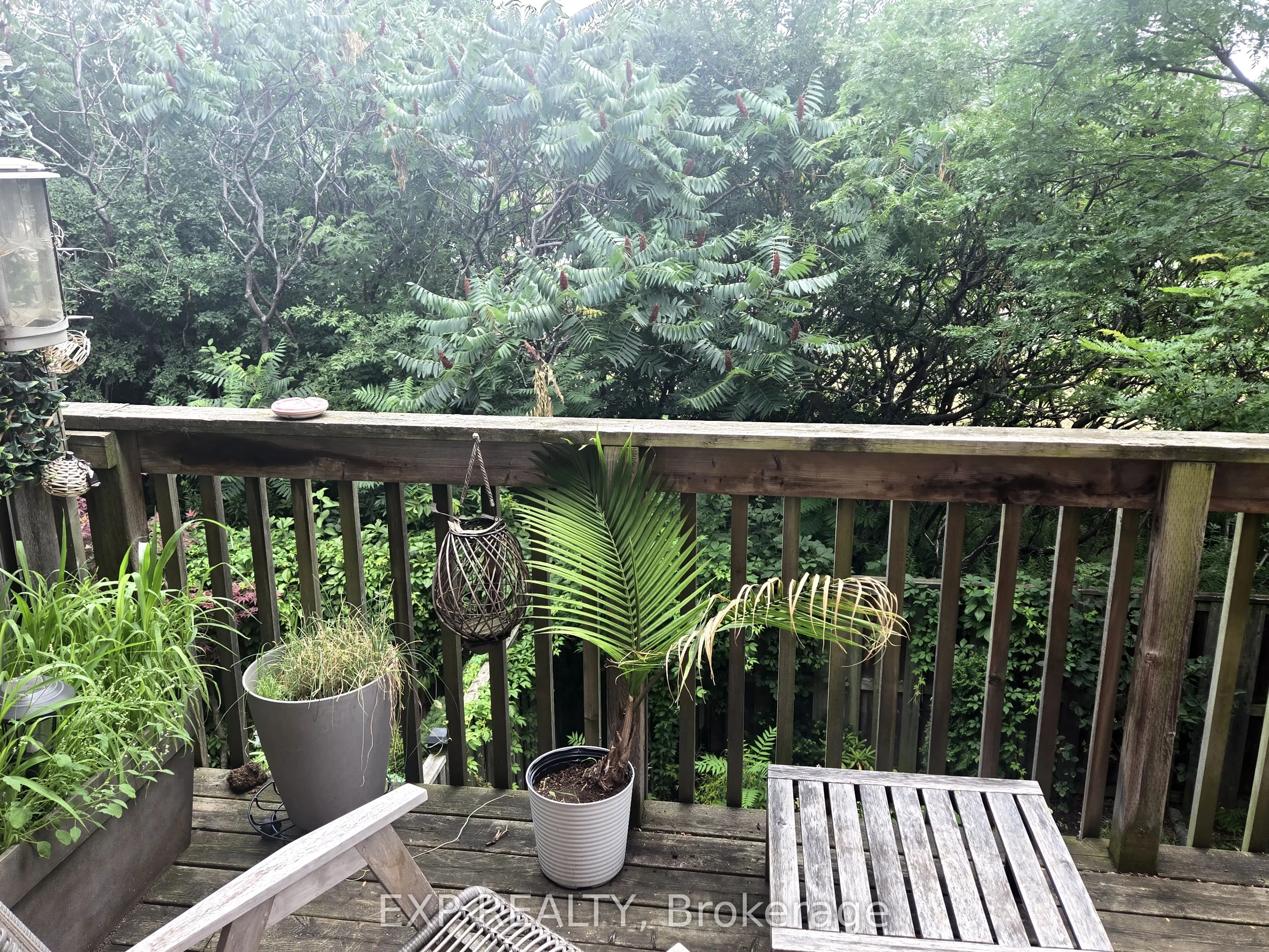 3097 Joel Kerbel Place