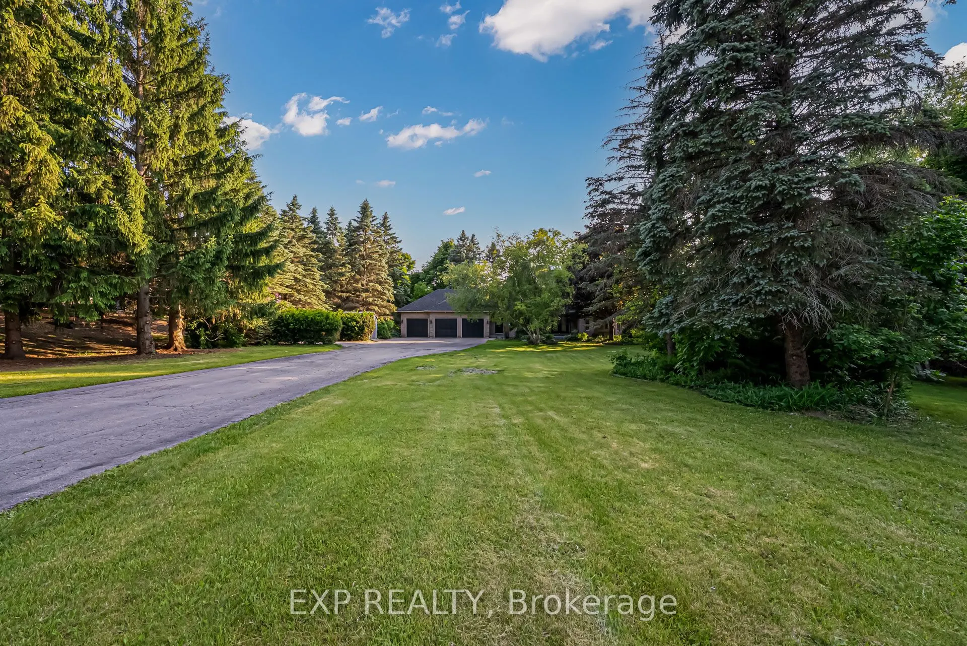 8 Humber Trail