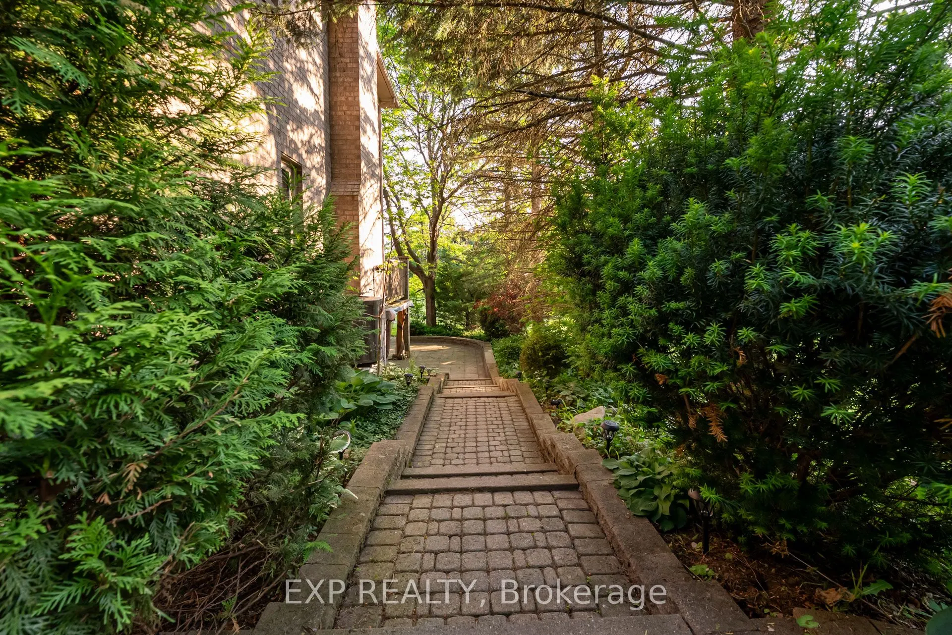 8 Humber Trail