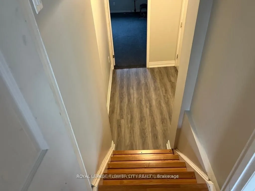 12 Lorne Court, #Basement