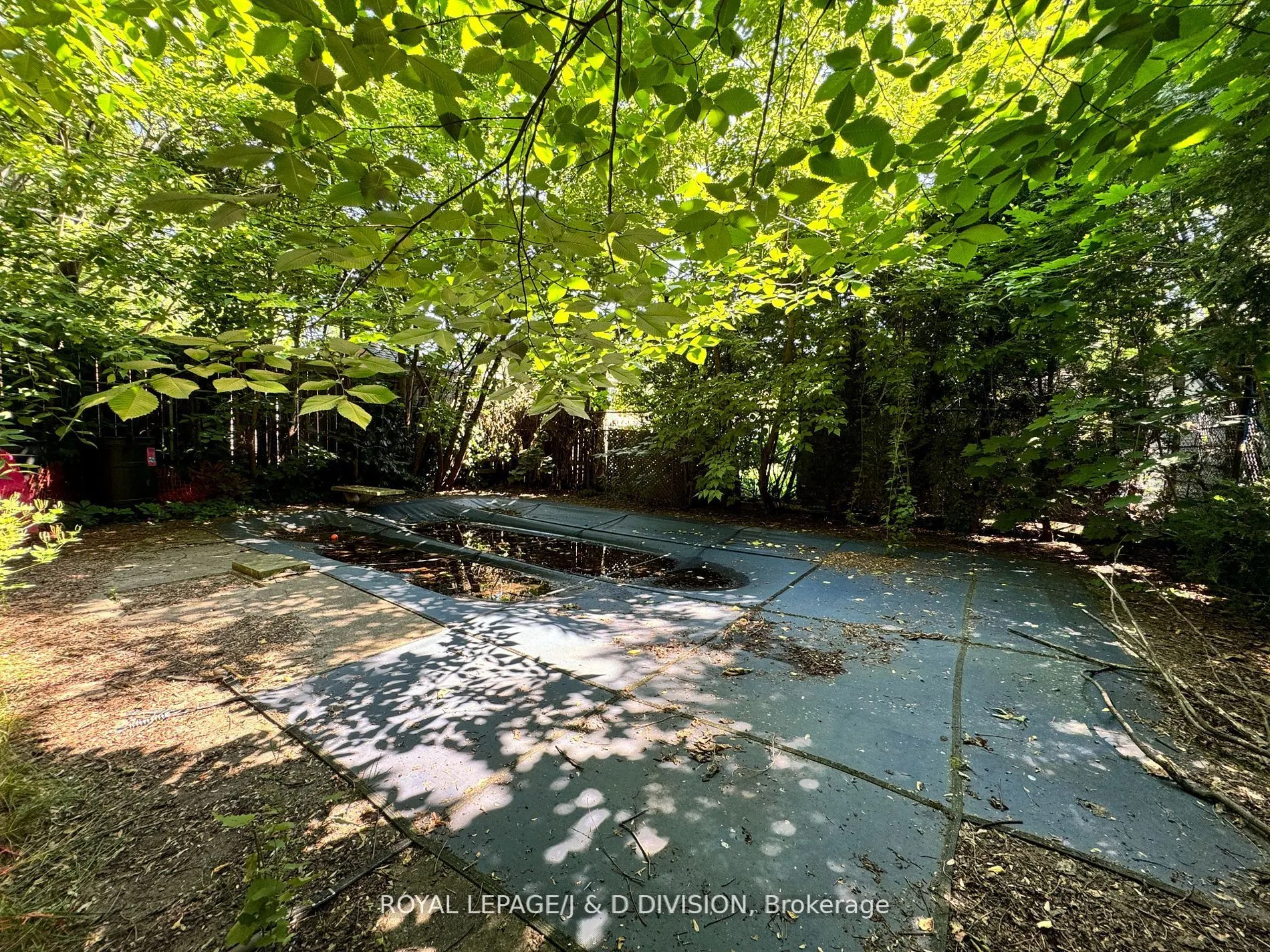 165 High Park Avenue