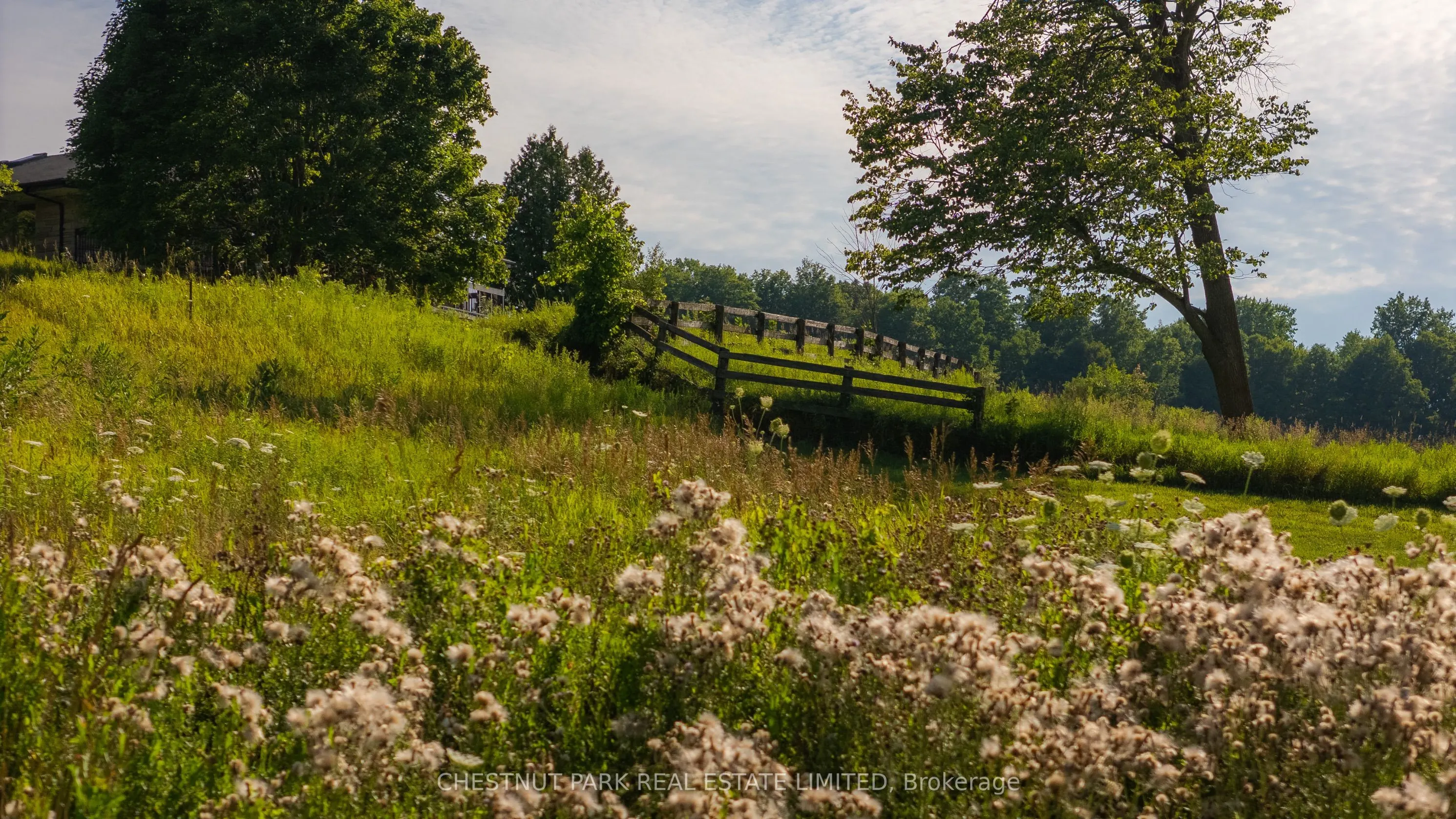 17402 Humber Station Road