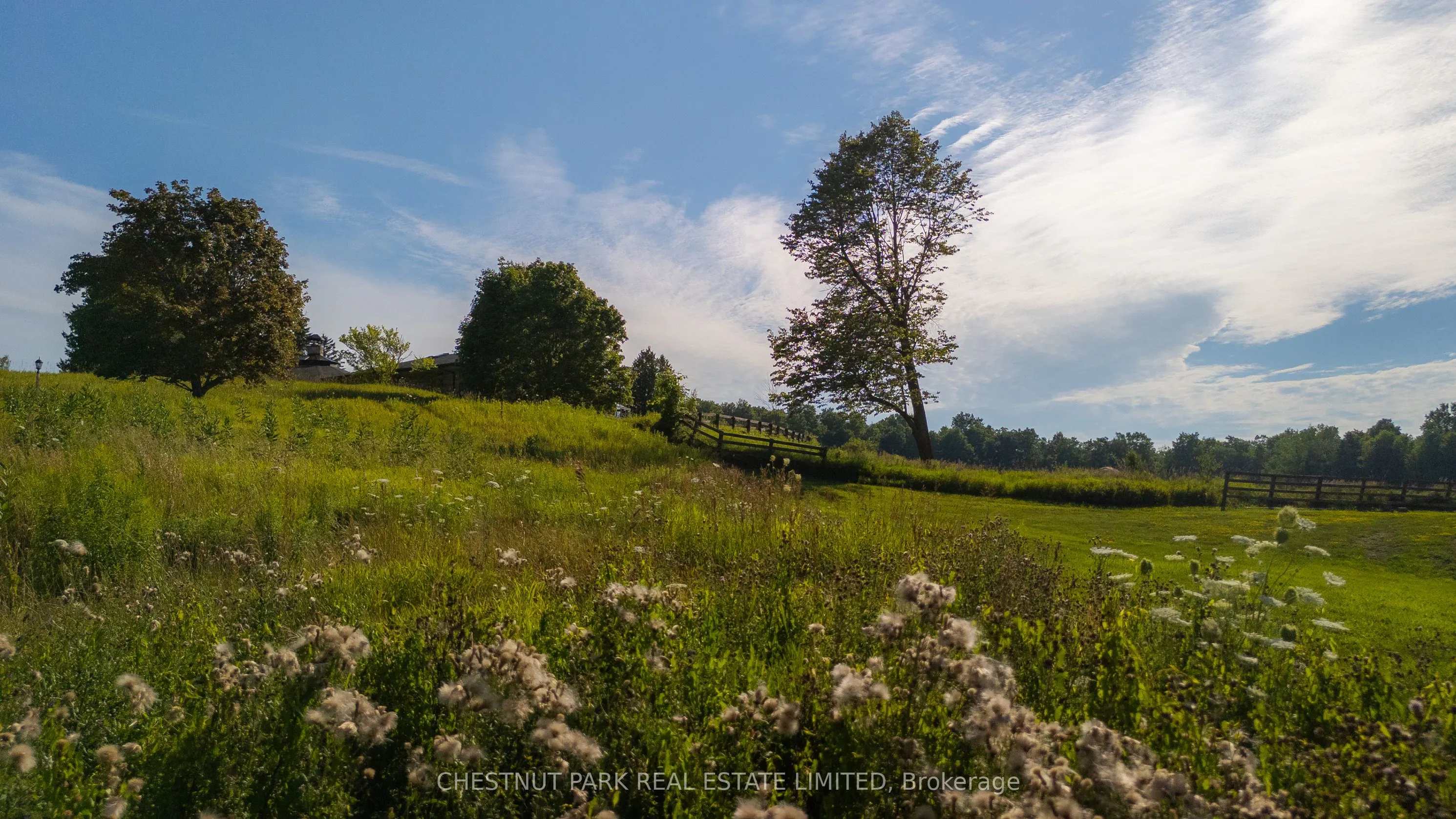 17402 Humber Station Road
