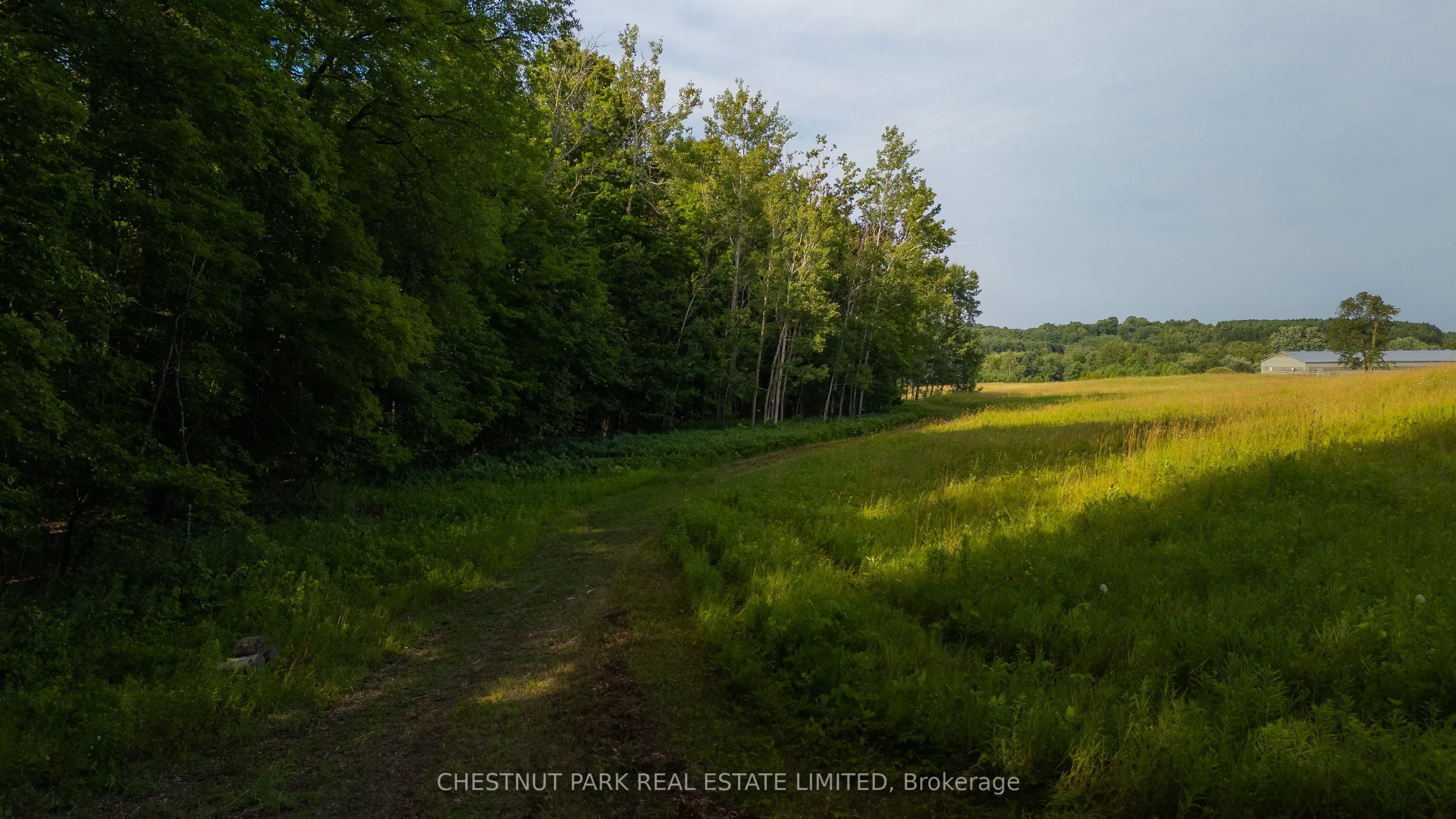 17402 Humber Station Road