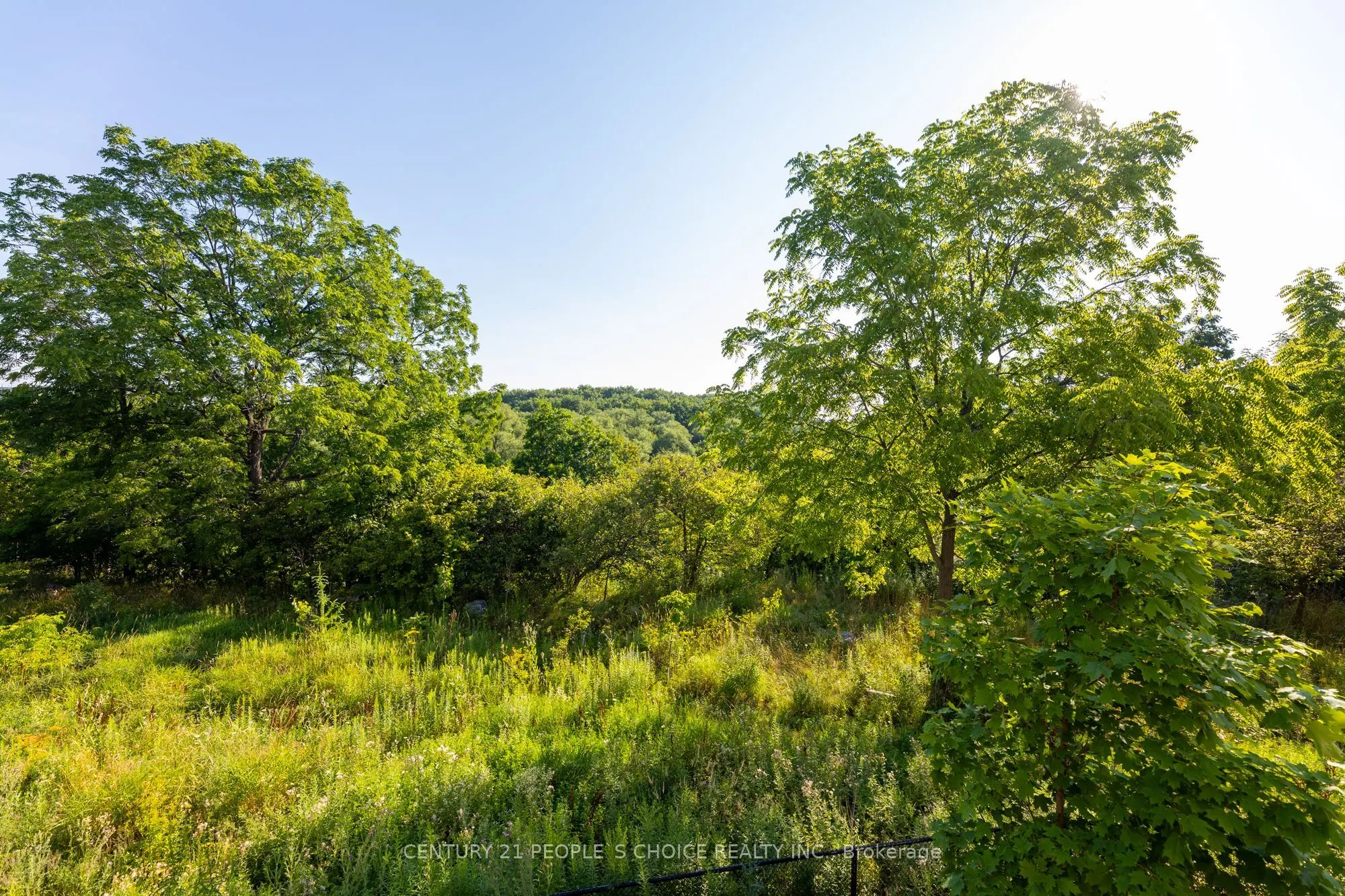49 Woodstream Drive