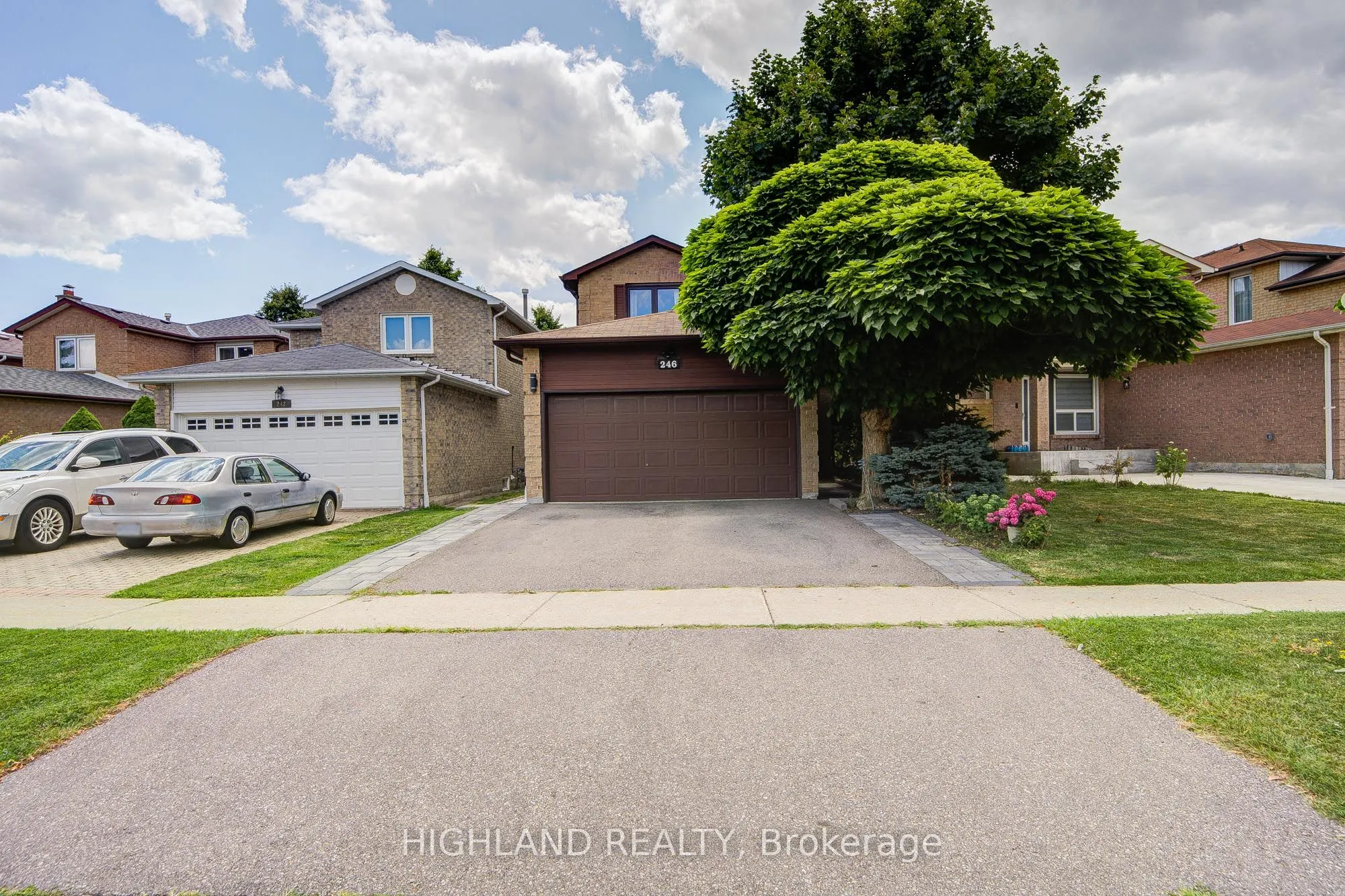 246 Winfield Terrace