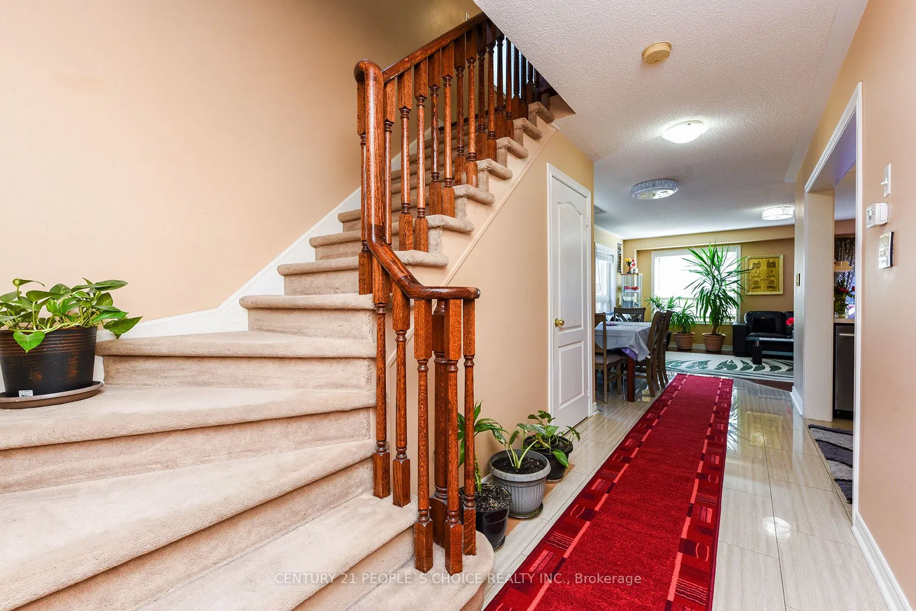 3970 Stardust Drive