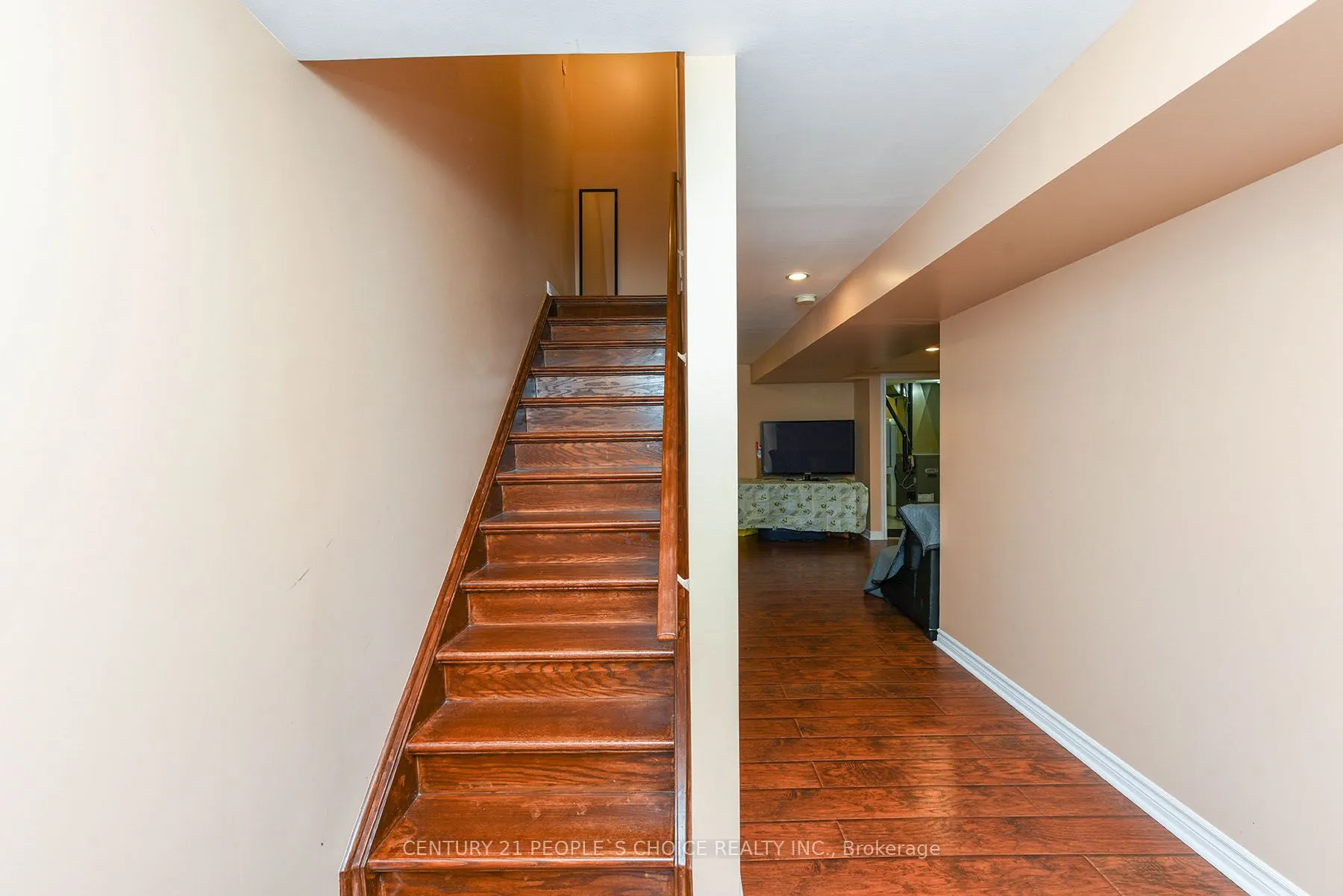 3970 Stardust Drive