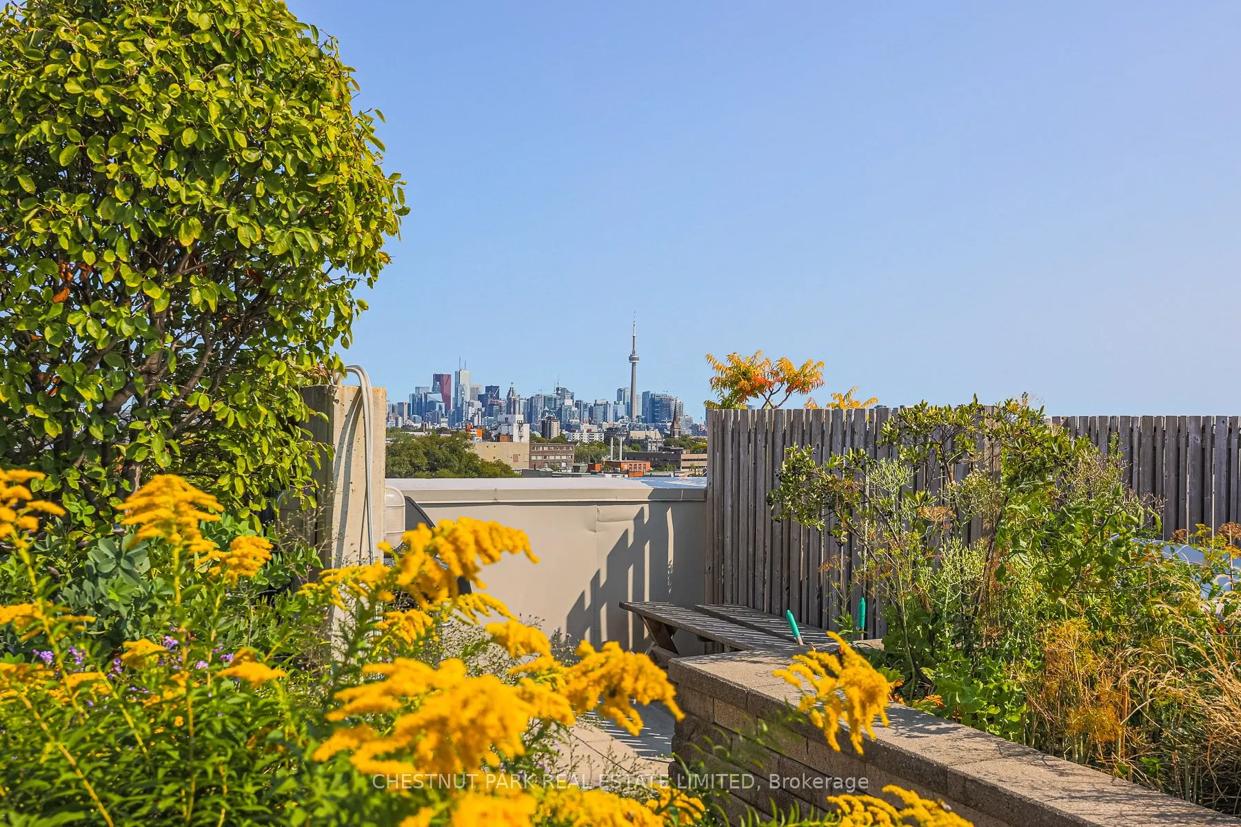 437 Roncesvalles Avenue, #404