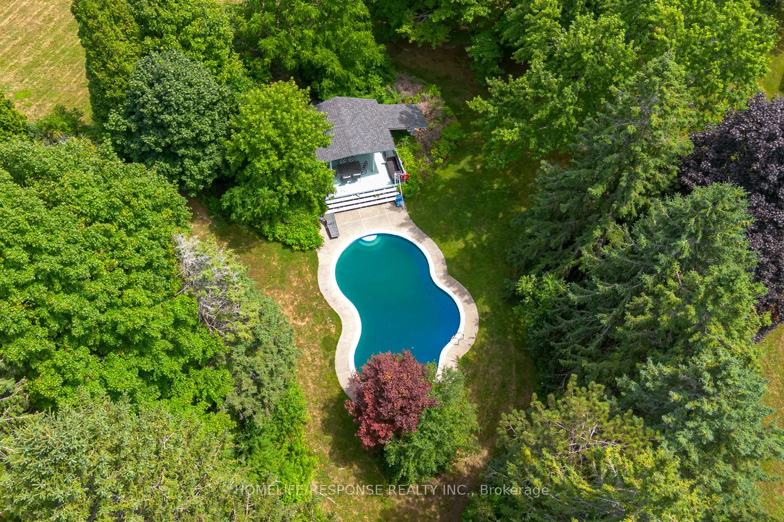 16672 CENTREVILLE CREEK Road