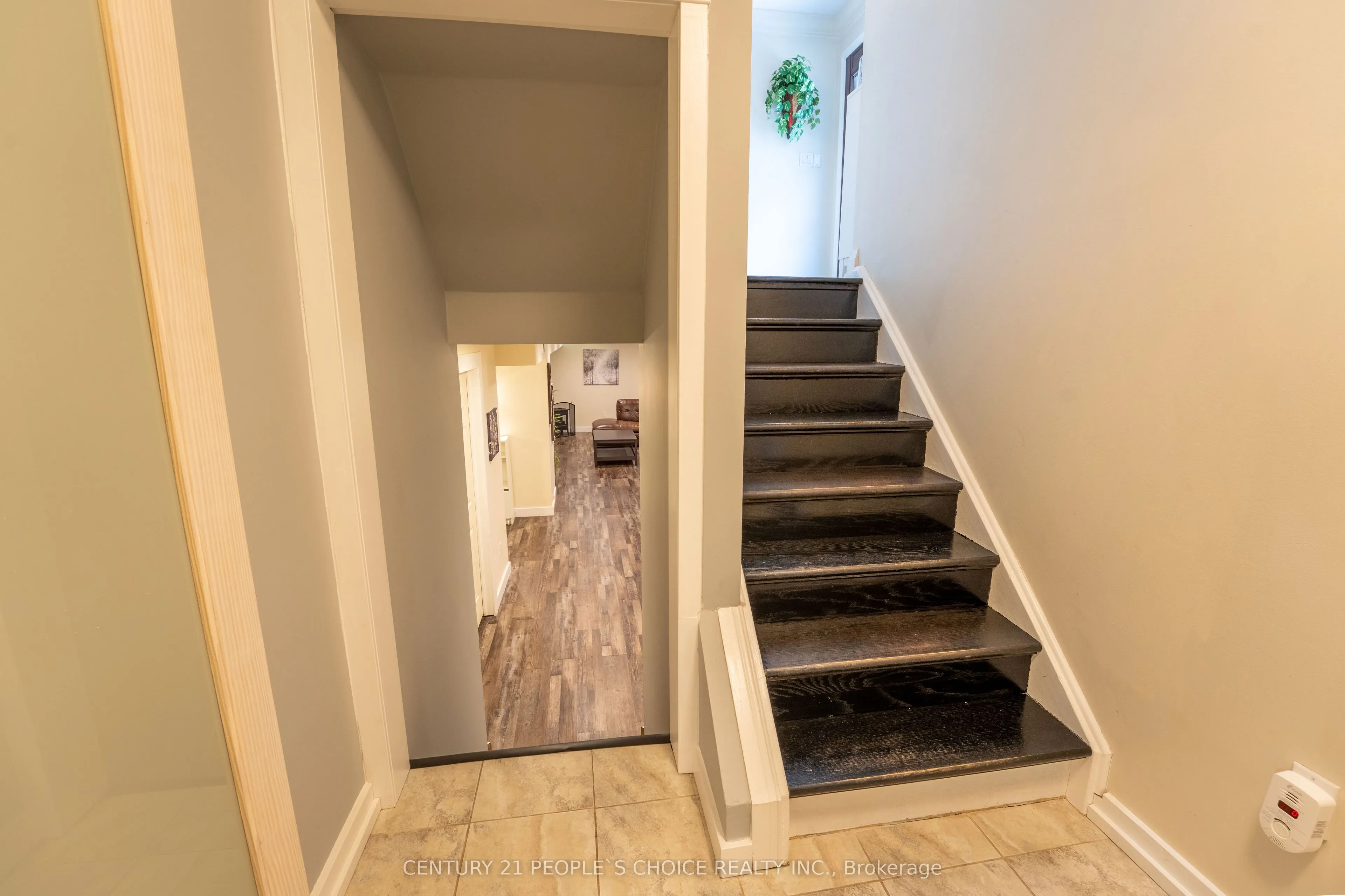 23 Wadsworth Circle