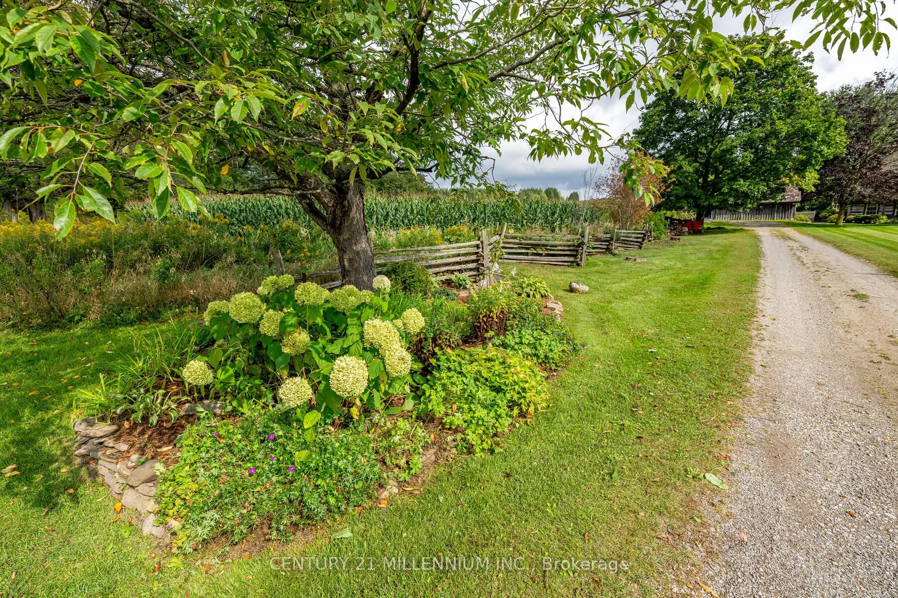 20909 Shaws Creek Road