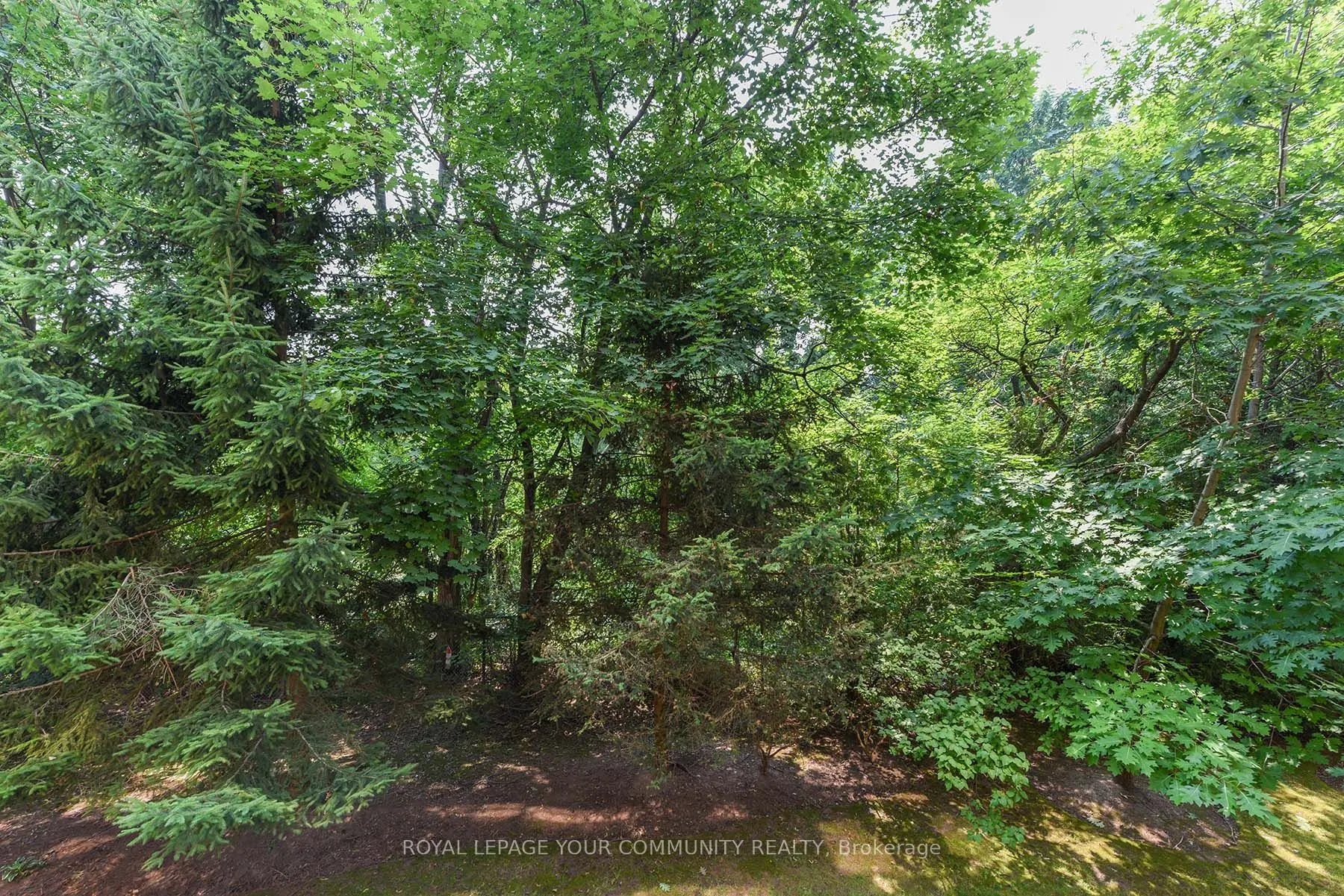 100 Burloak Drive, #1208