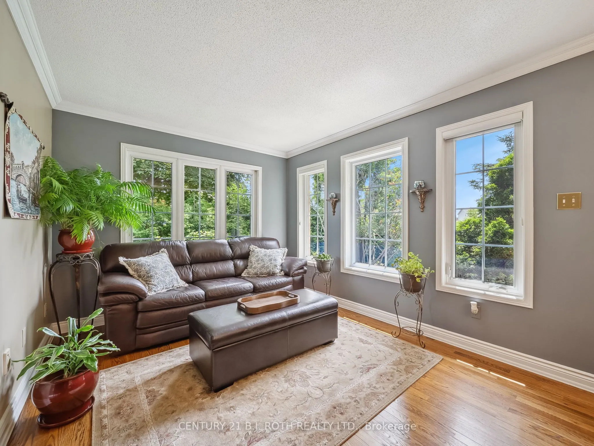 18 Claypine Trail