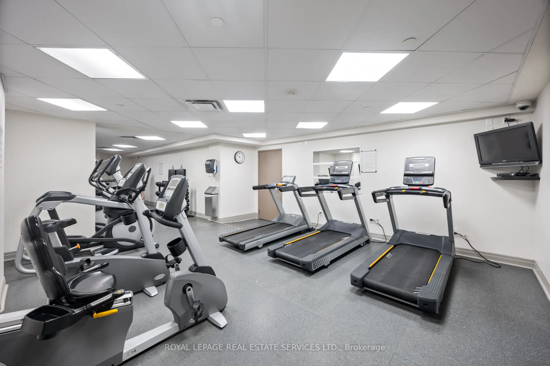 61 Heintzman Street, #812