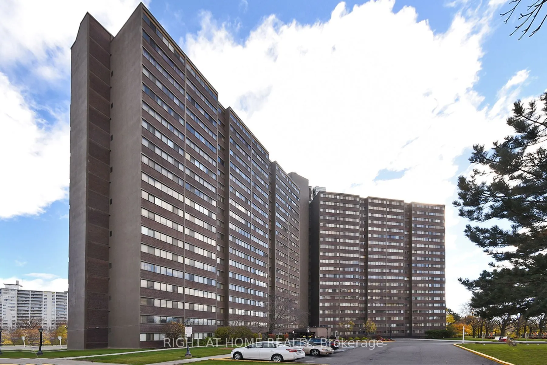 11 Wincott Drive, #1508