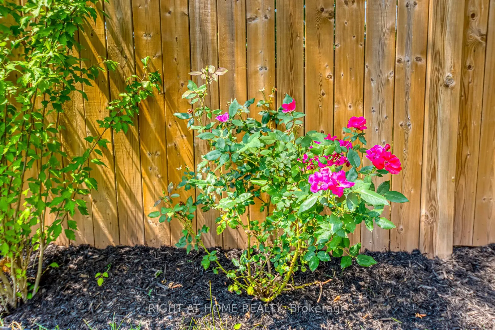 2356 Strawfield Court