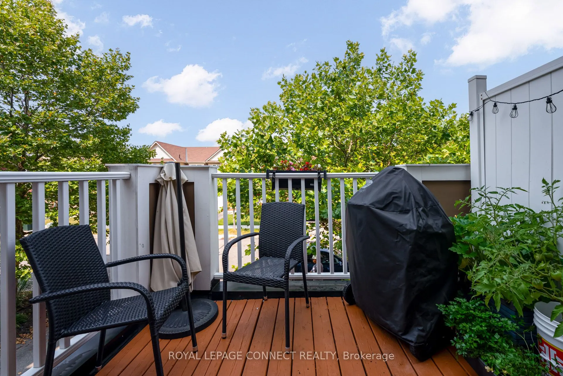 223 Woodley Crescent