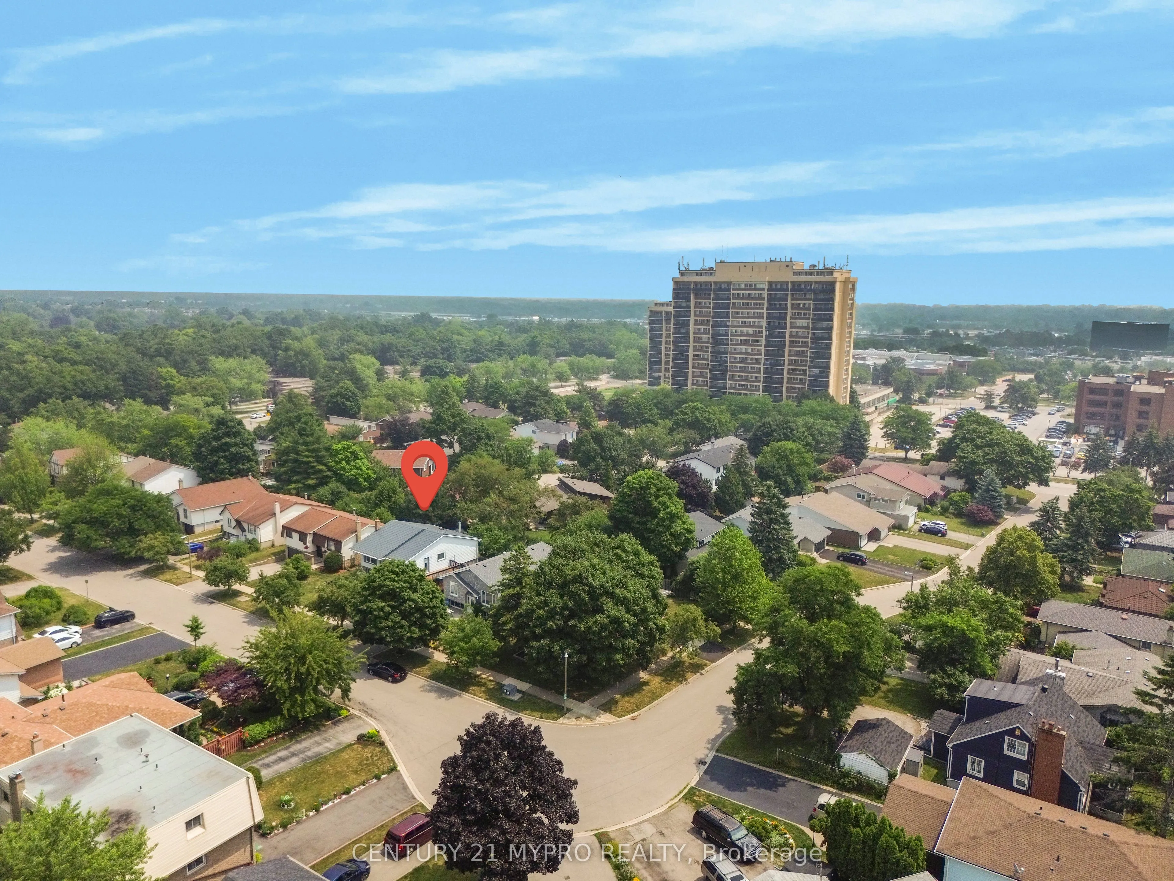 1294 Forest Hill