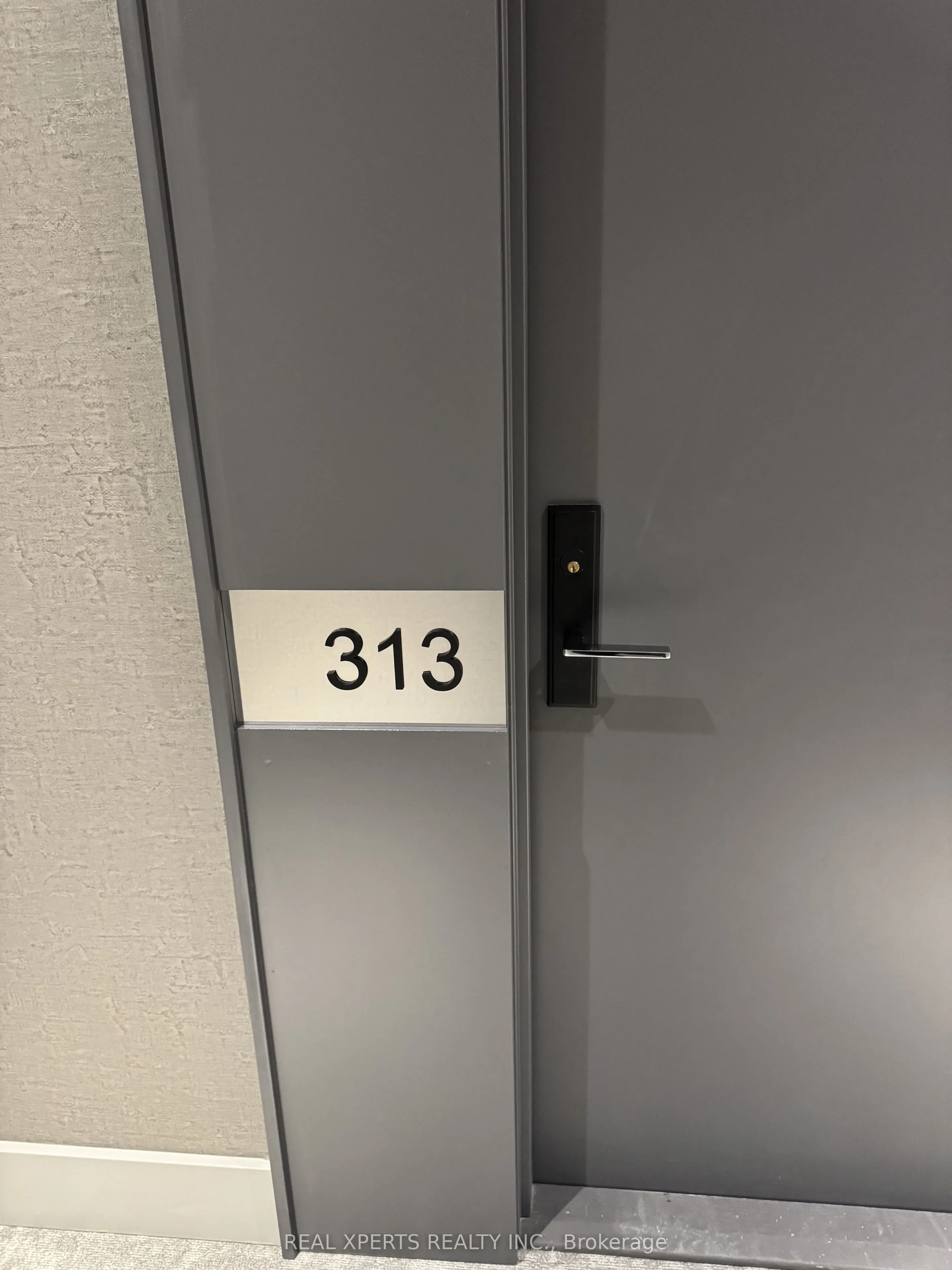 285 Dufferin St Street, #313