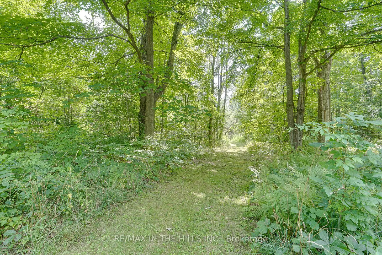 2651 Forks Of The Credit Road