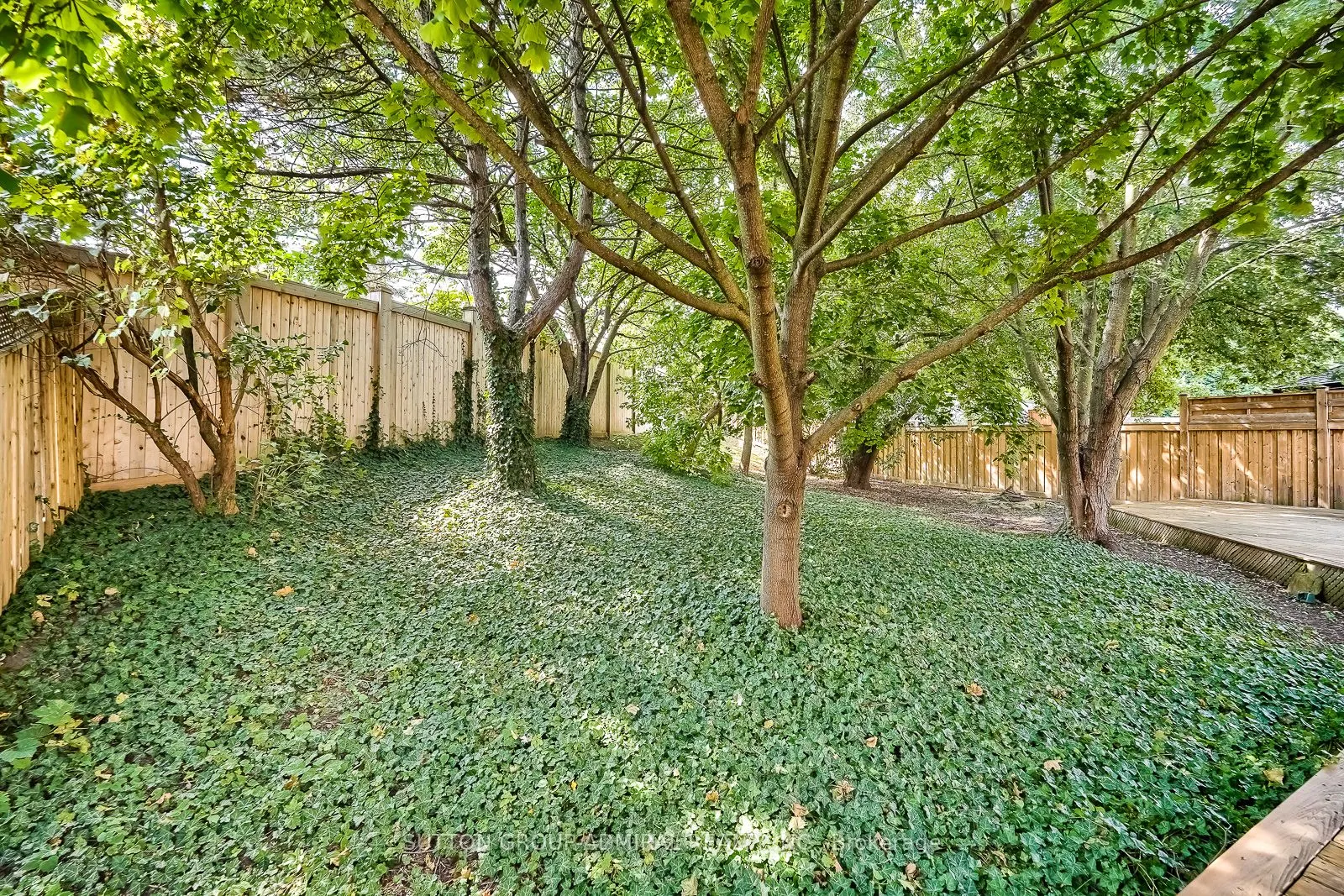 2360 Marisa Court
