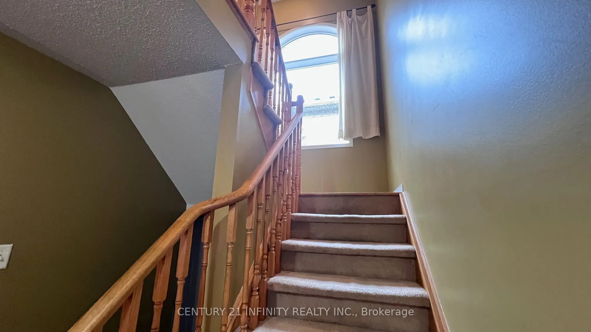 17 Studebaker Trail