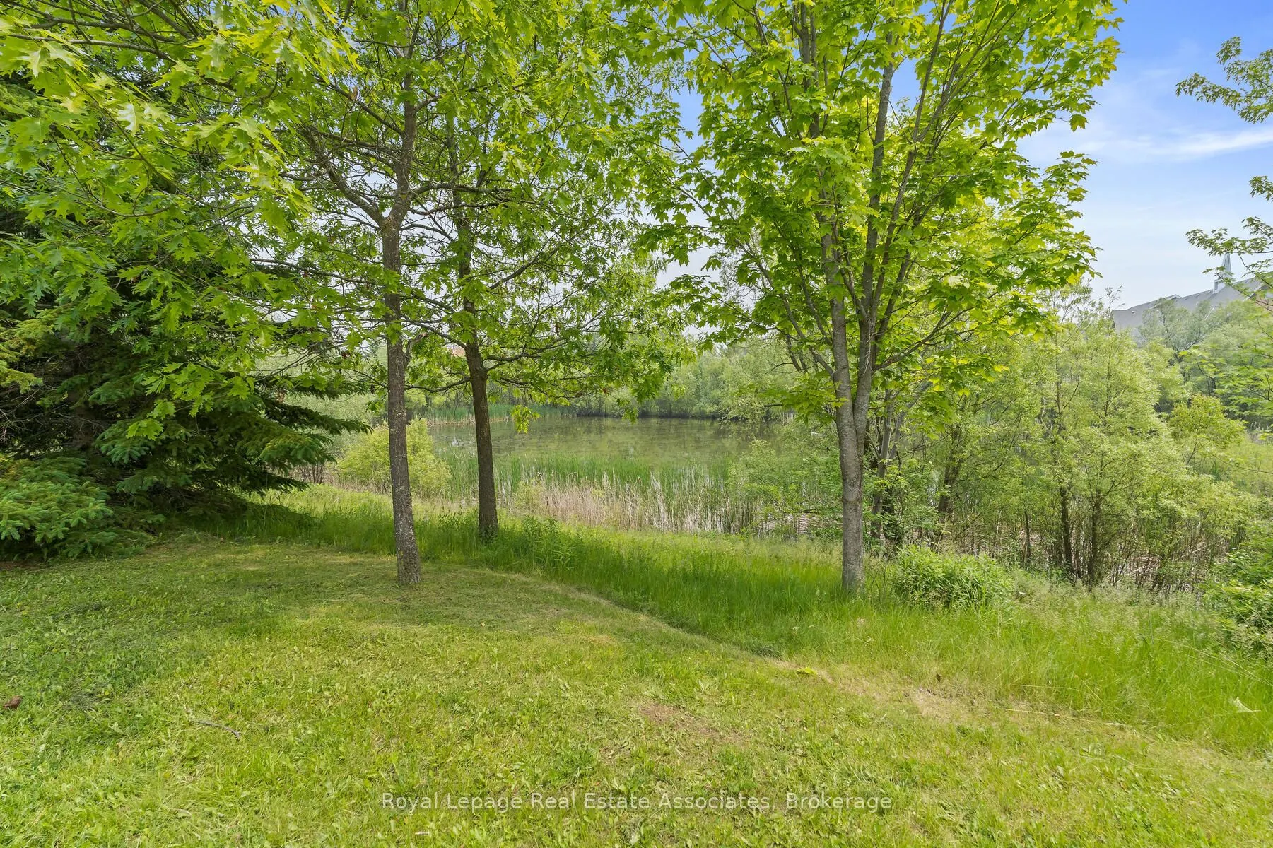 65 Somerville Road