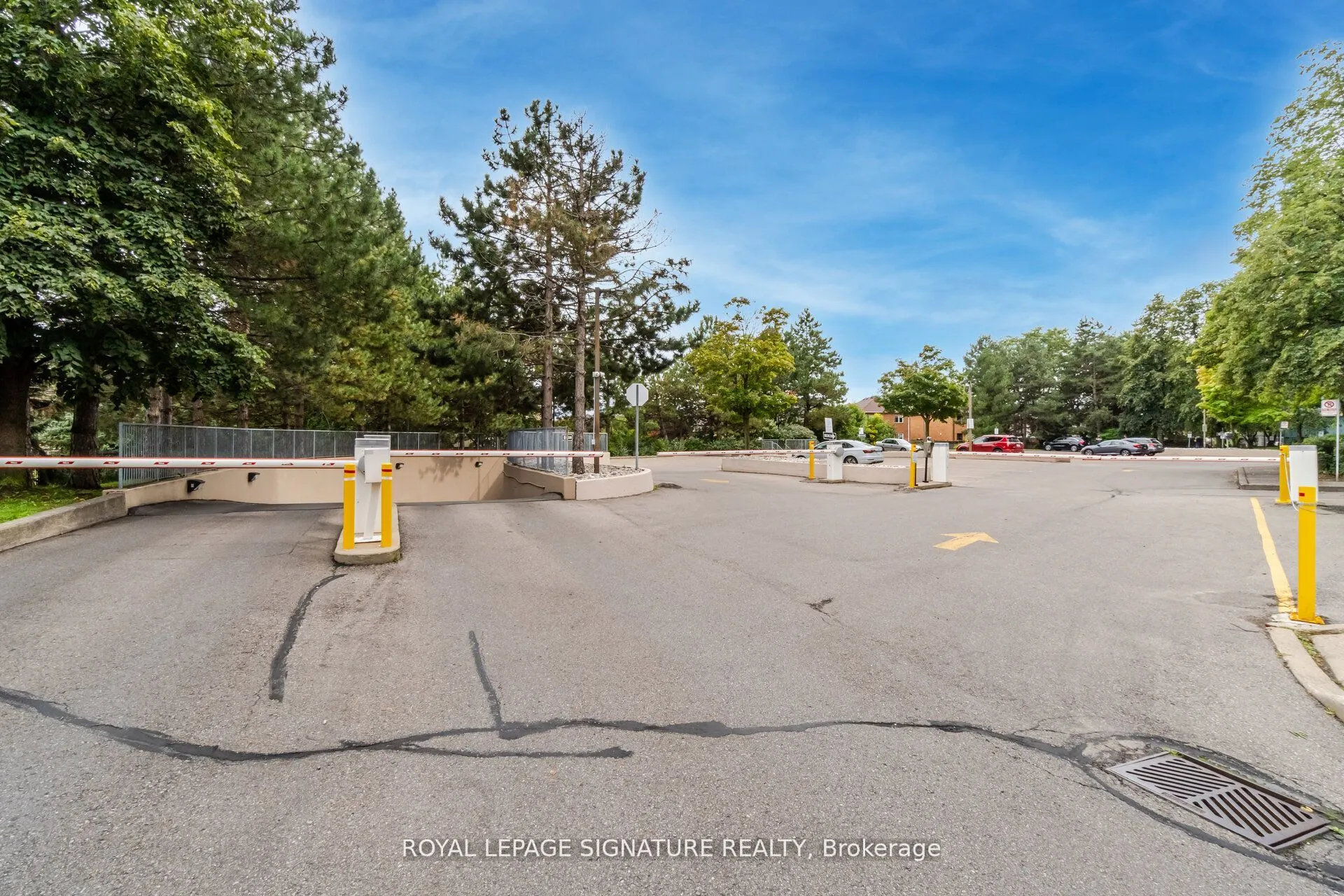 250 Webb Drive, #910