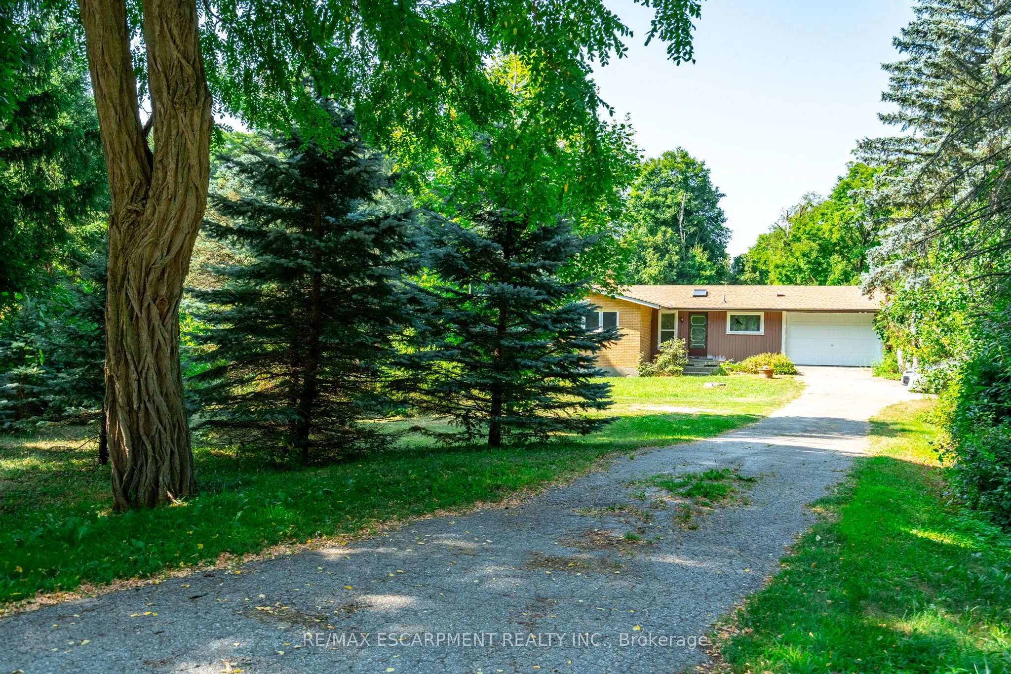 5224 Cedar Springs Road