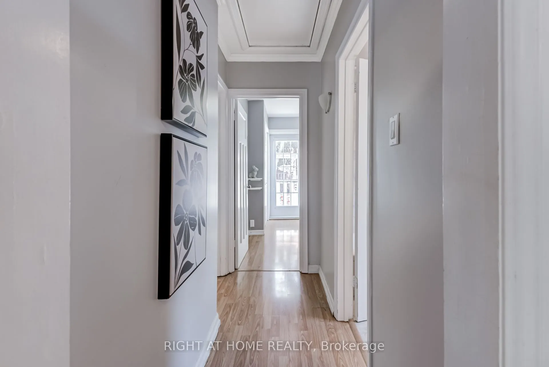6 Struthers Street