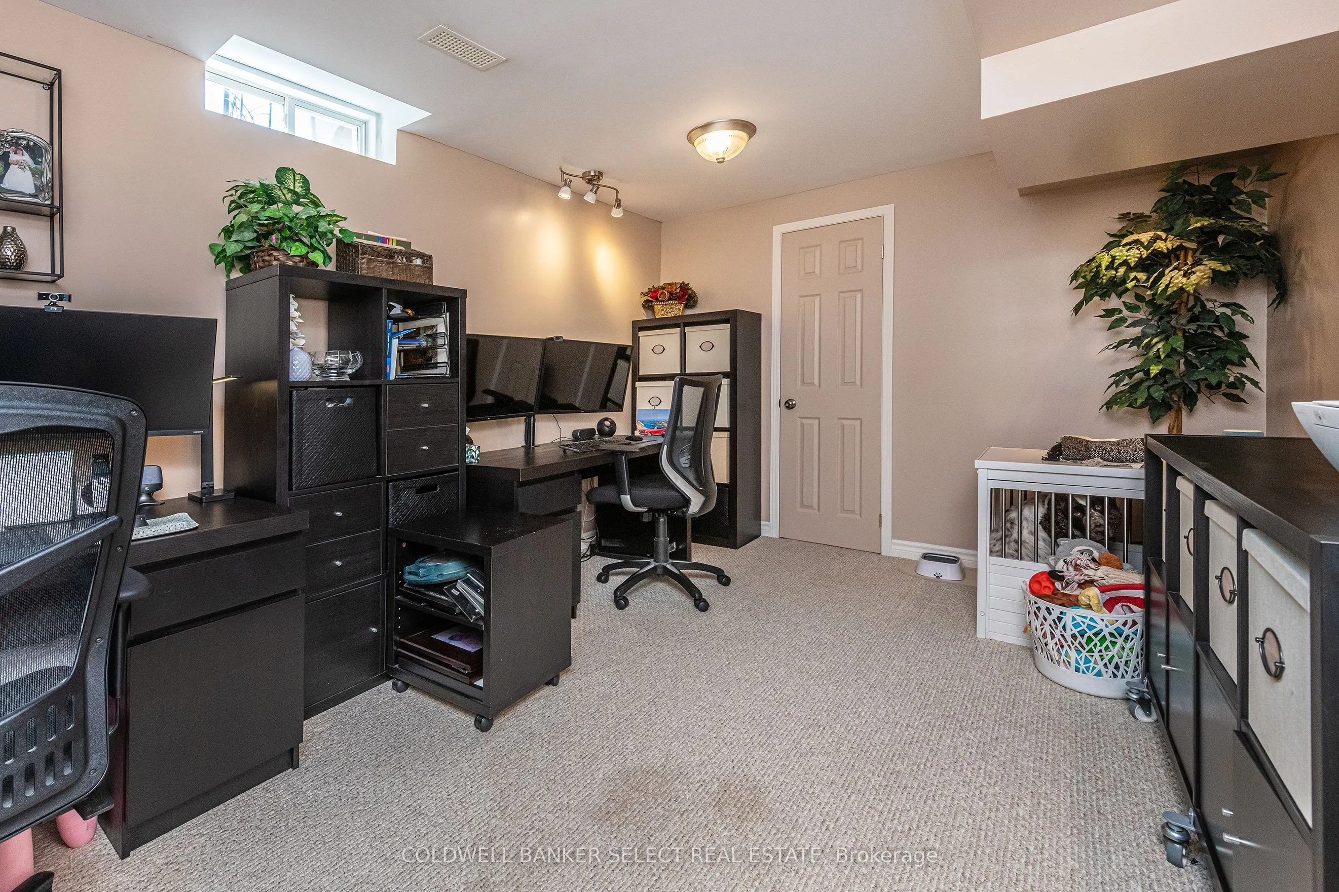 17 Saddletree Trail