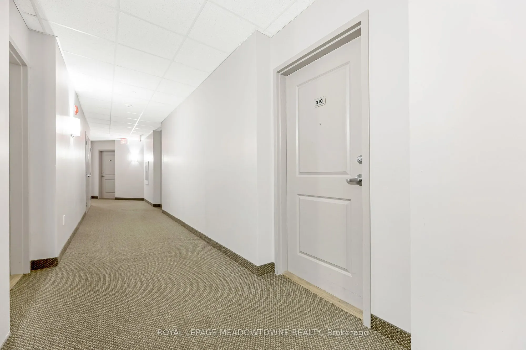 33 Whitmer Street, #310