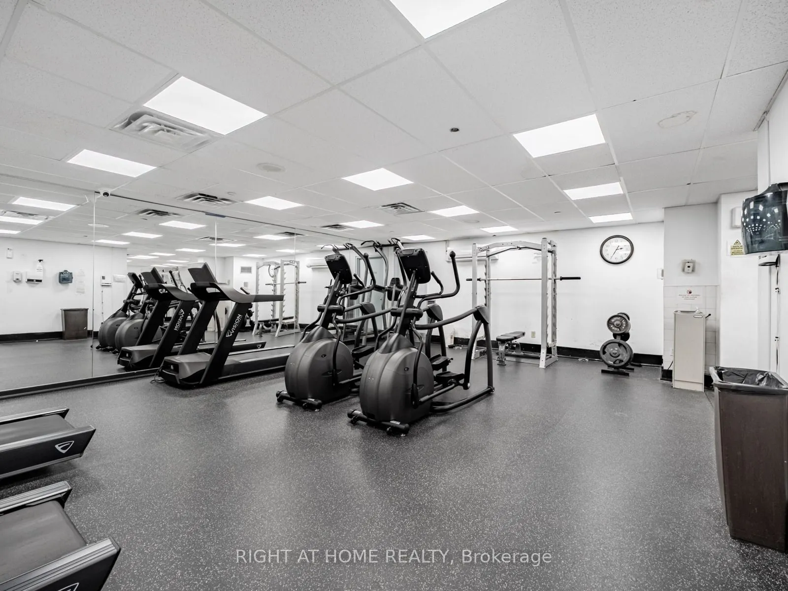 335 Webb Drive, #1412