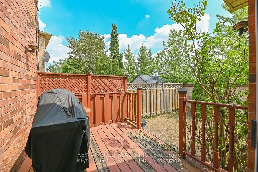43 Giraffe Avenue