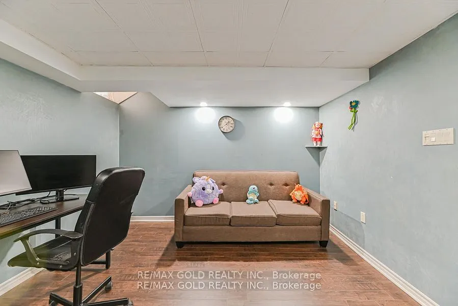 43 Giraffe Avenue