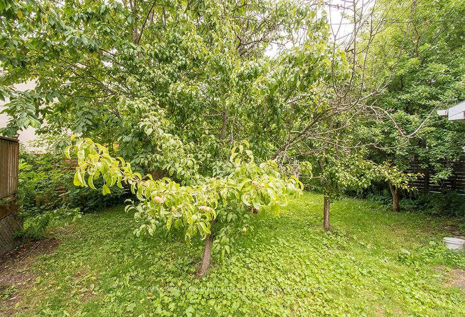 29 Roseland Drive
