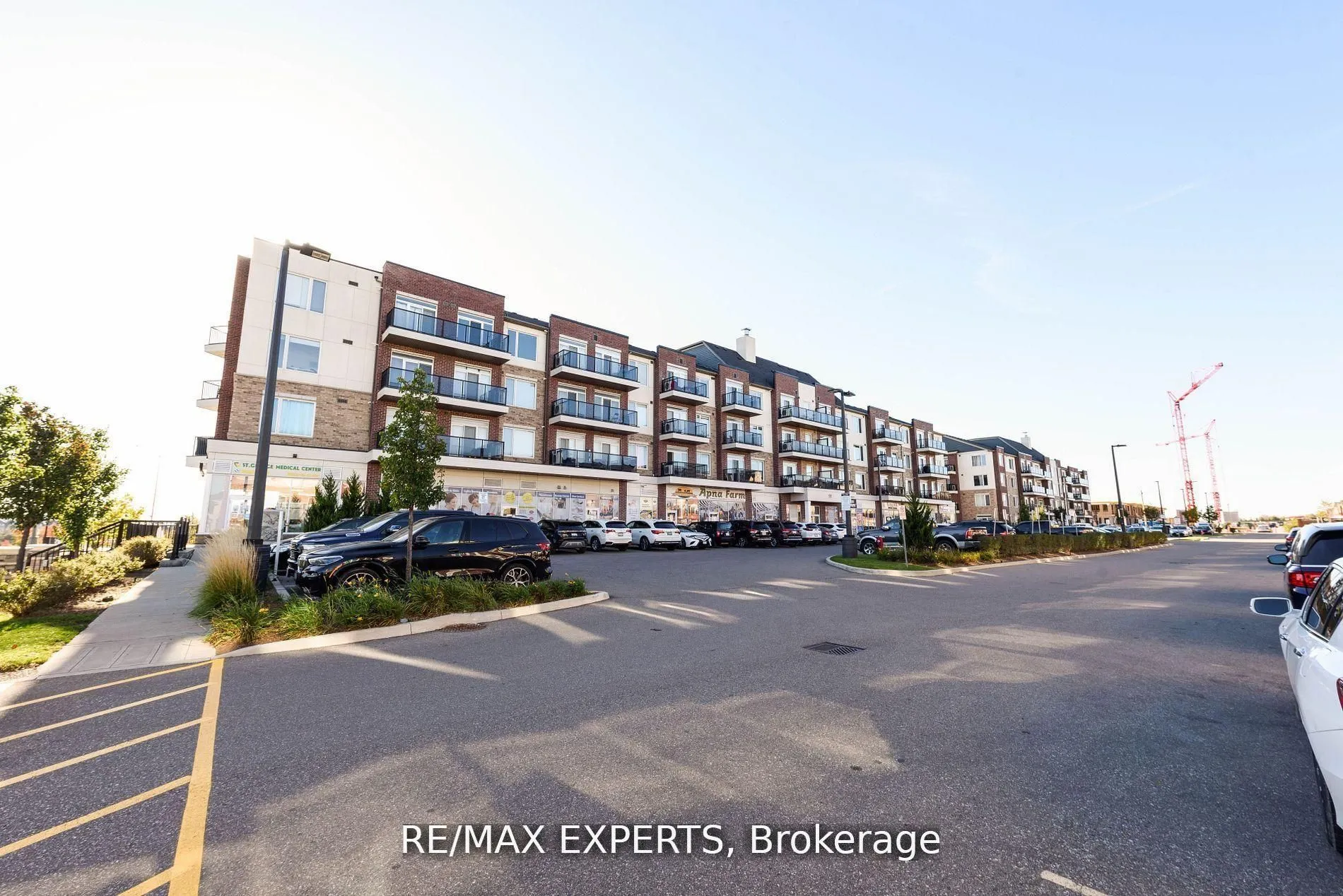 50 Sky Harbour Drive, #203