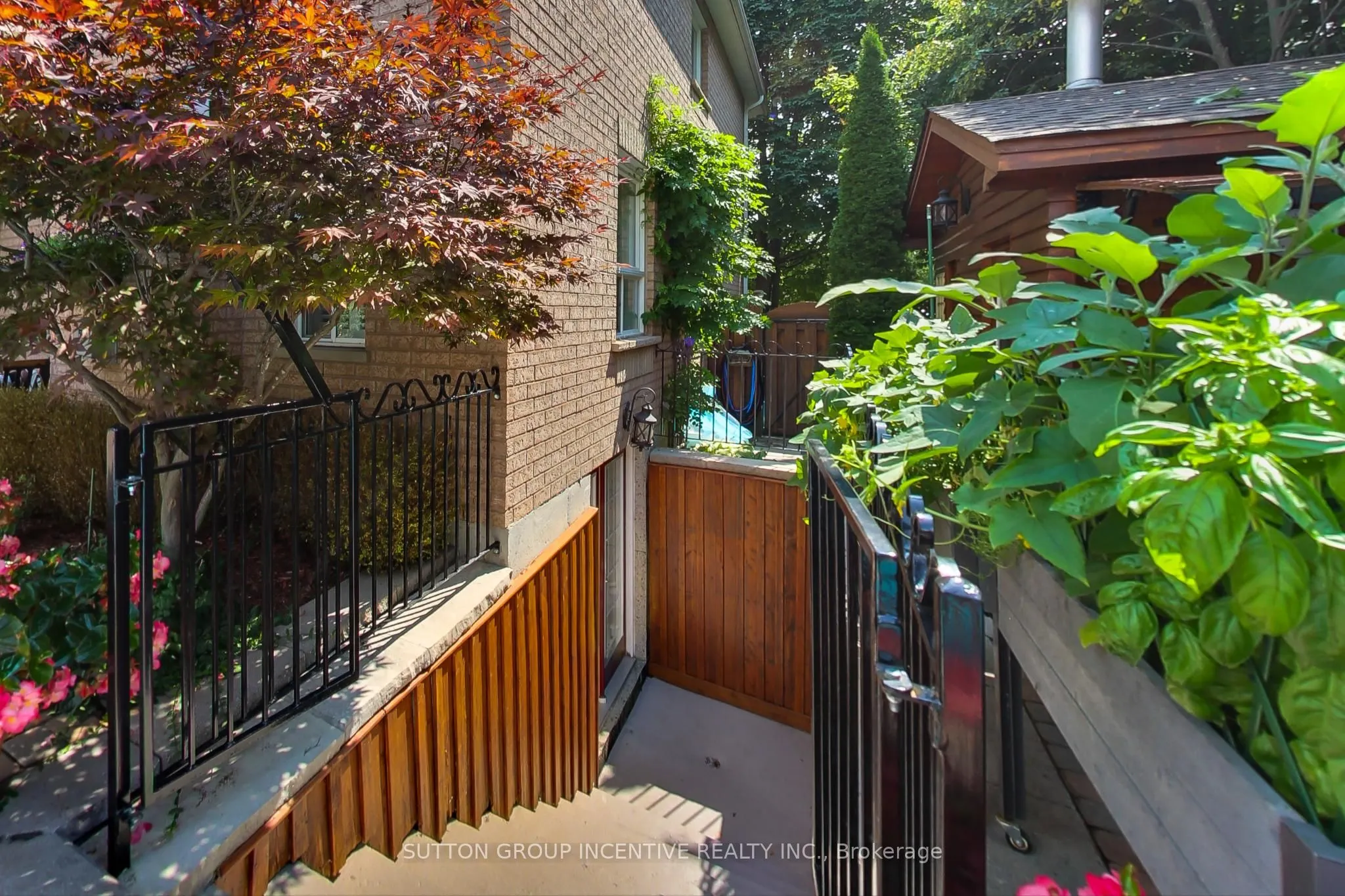 11 Safari Court