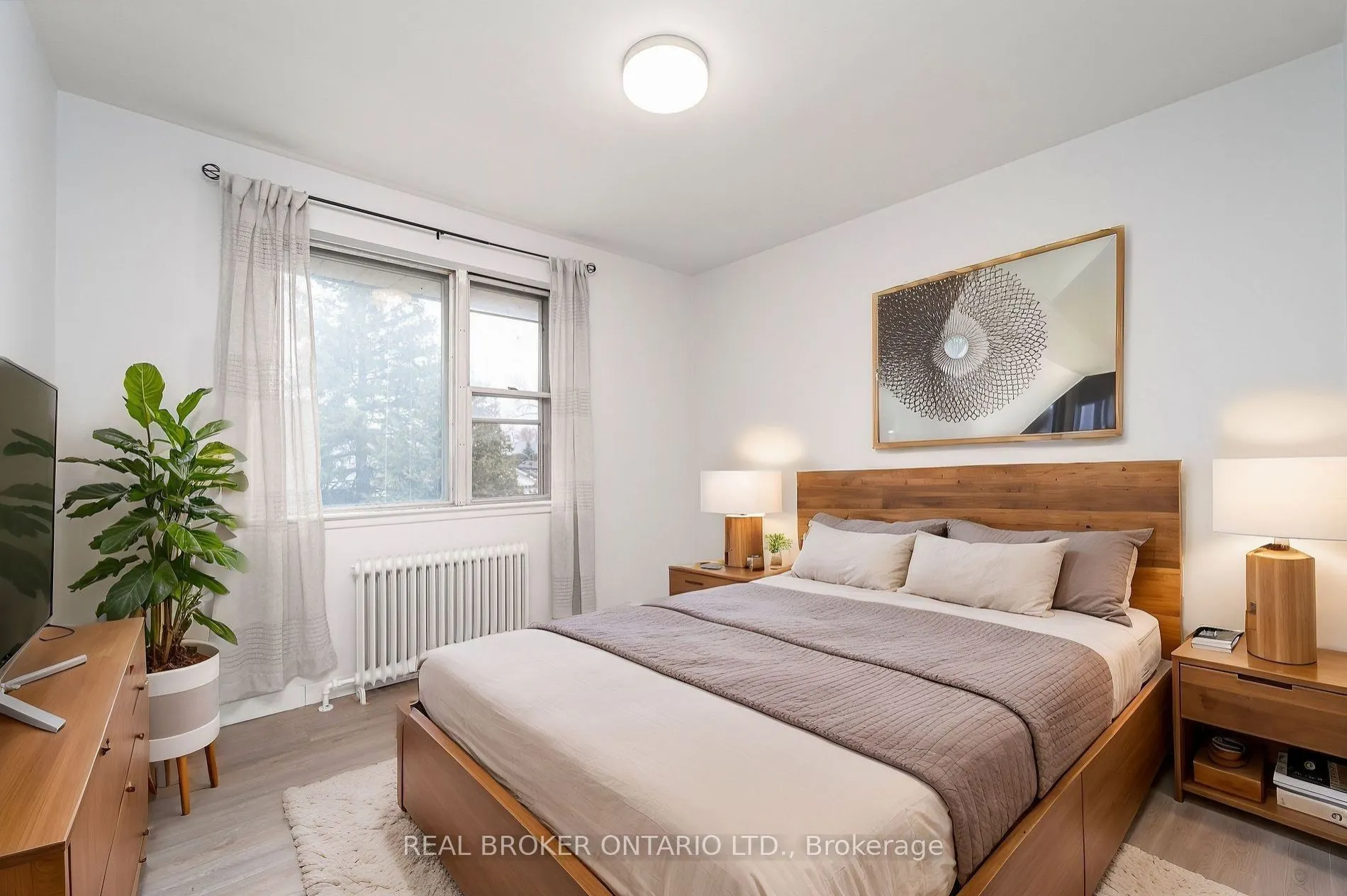 71 Murrie Street, #6