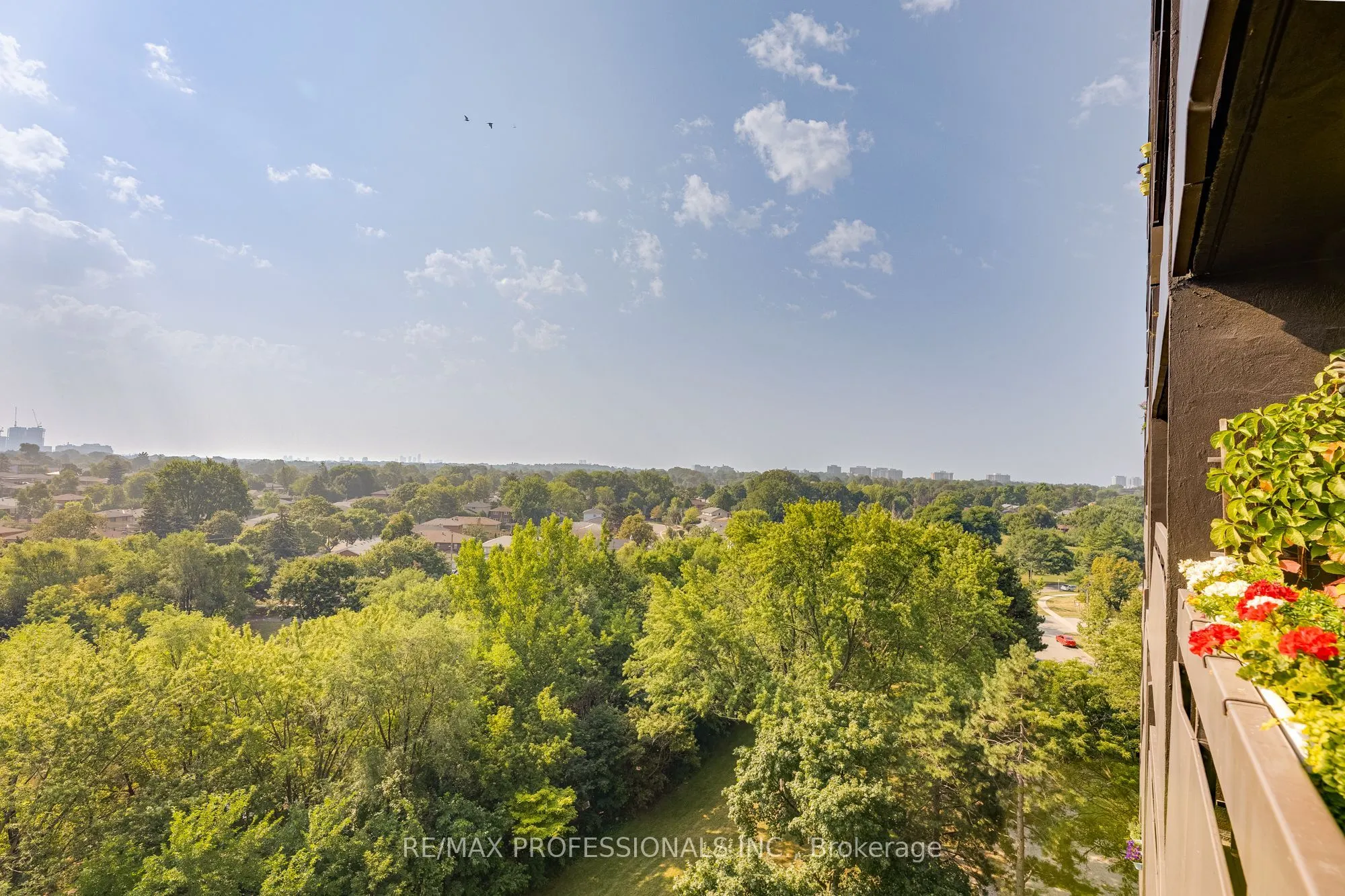 11 Wincott Drive, #907