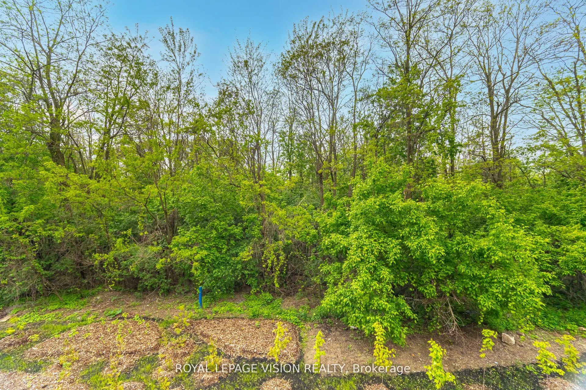 48 Folcroft Street