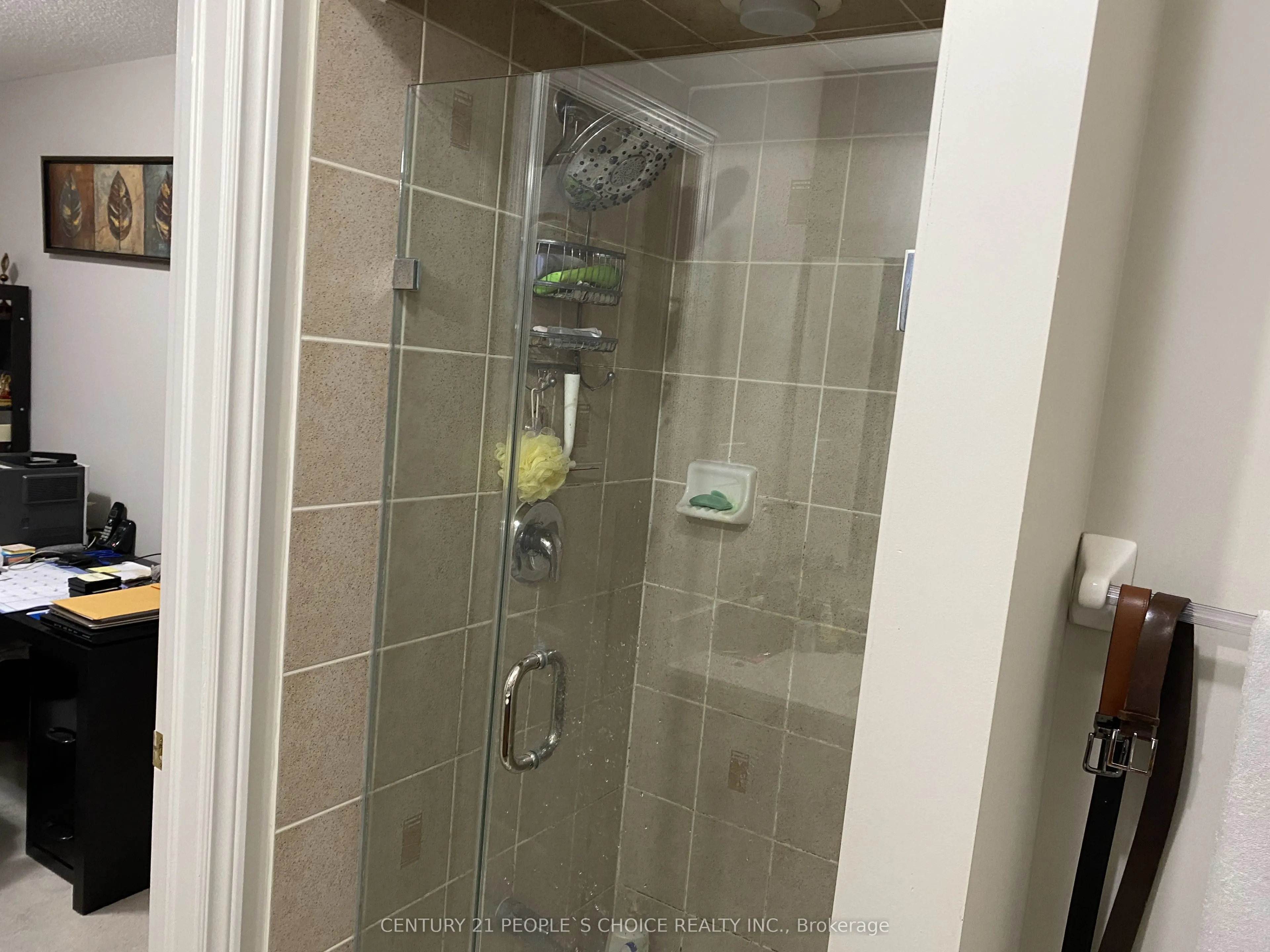 4757 Bluefeather Lane