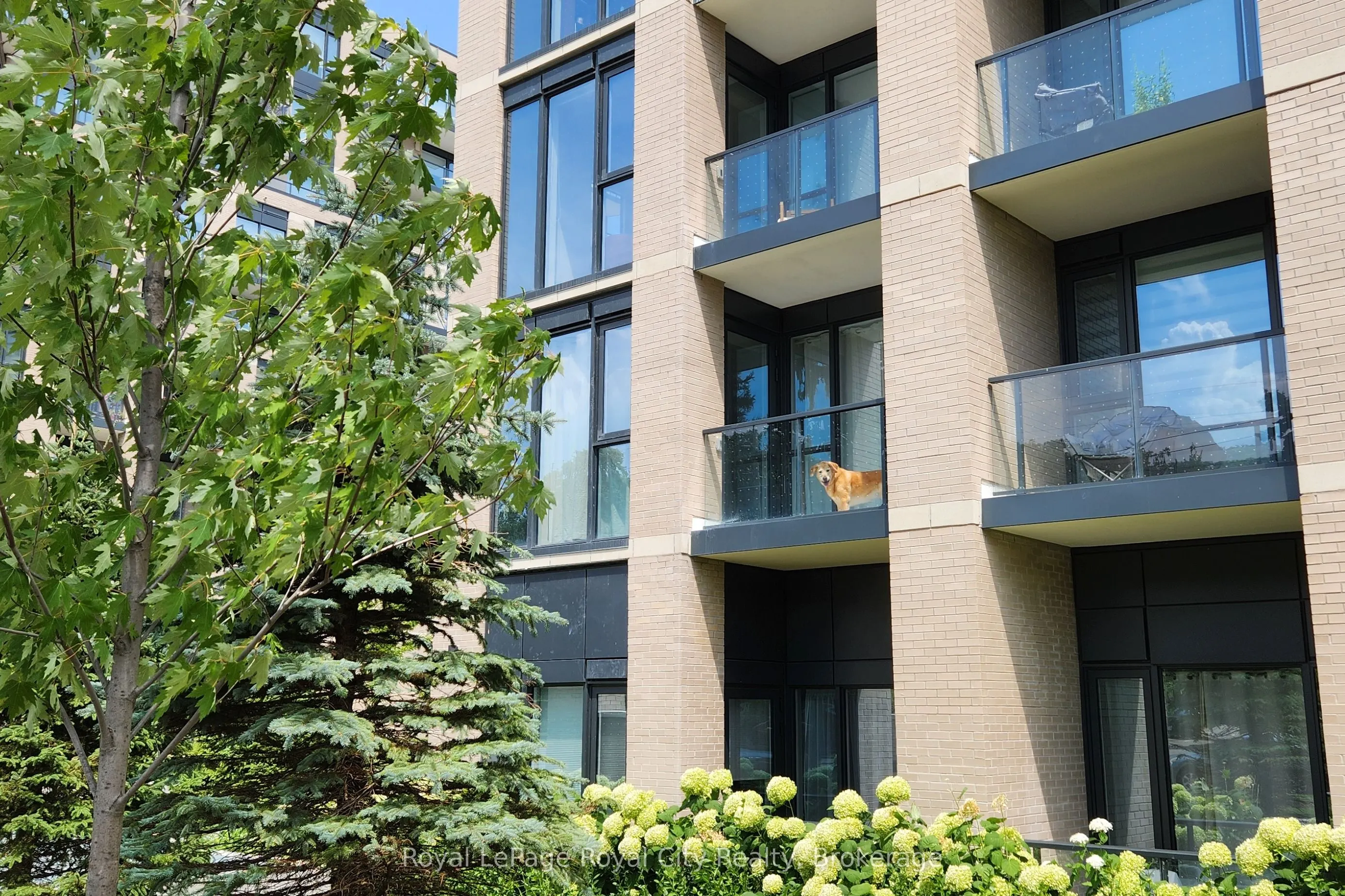 293 The Kingsway, #220