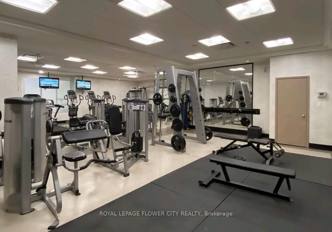 1070 Sheppard Avenue W, #801
