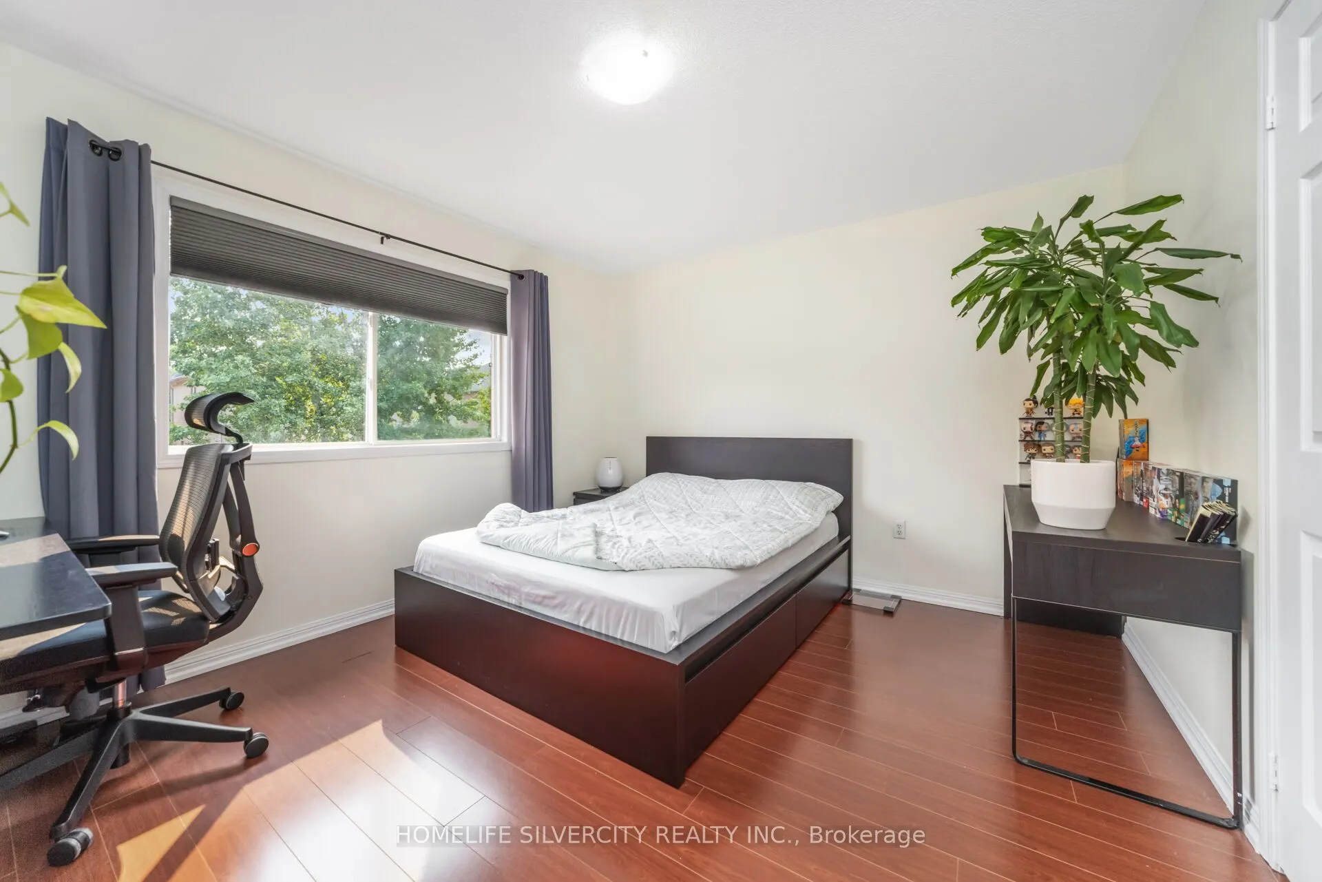 85 Dandelion Road