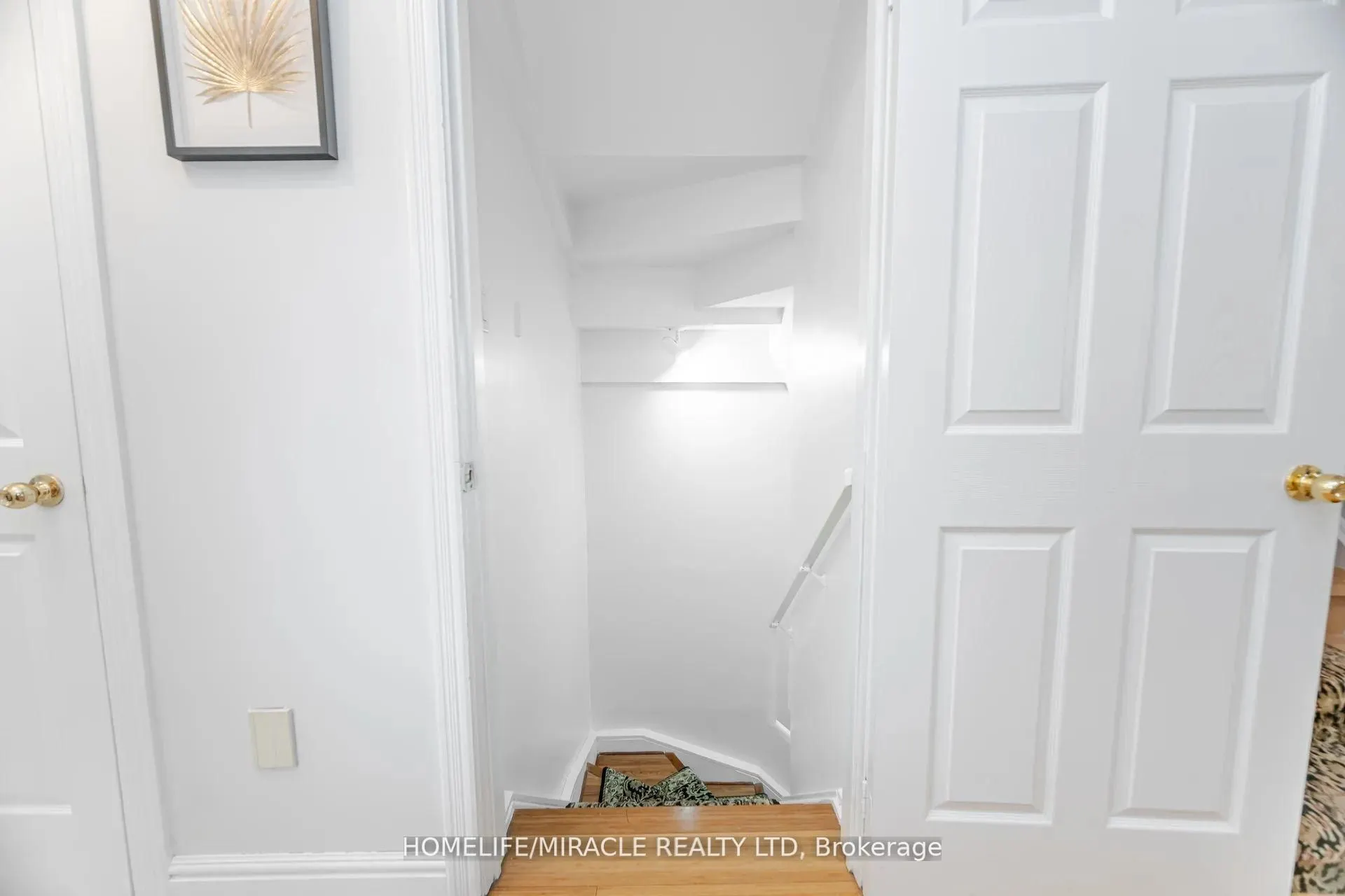 5339 Bullrush Drive