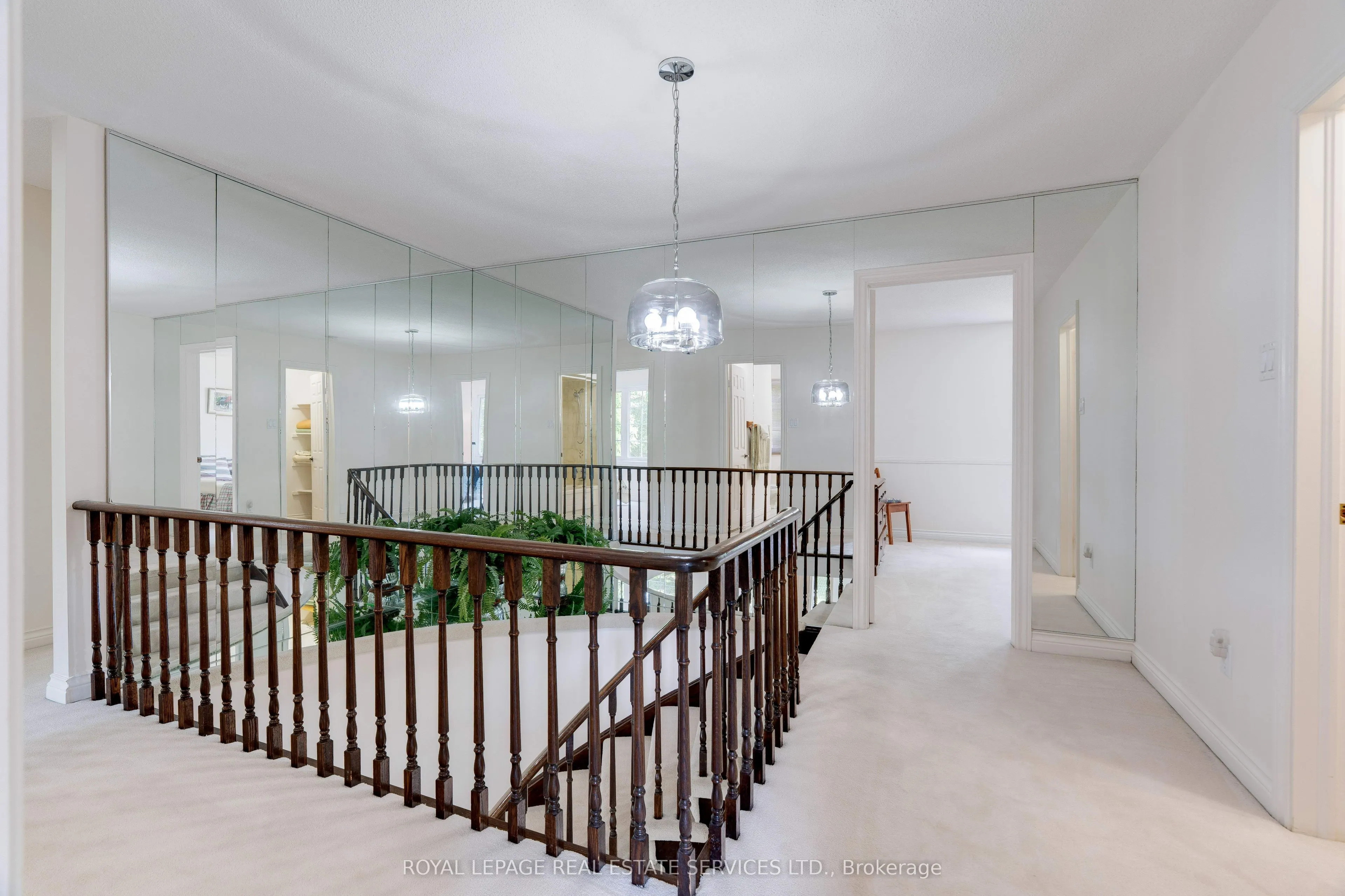 65 Cameo Street